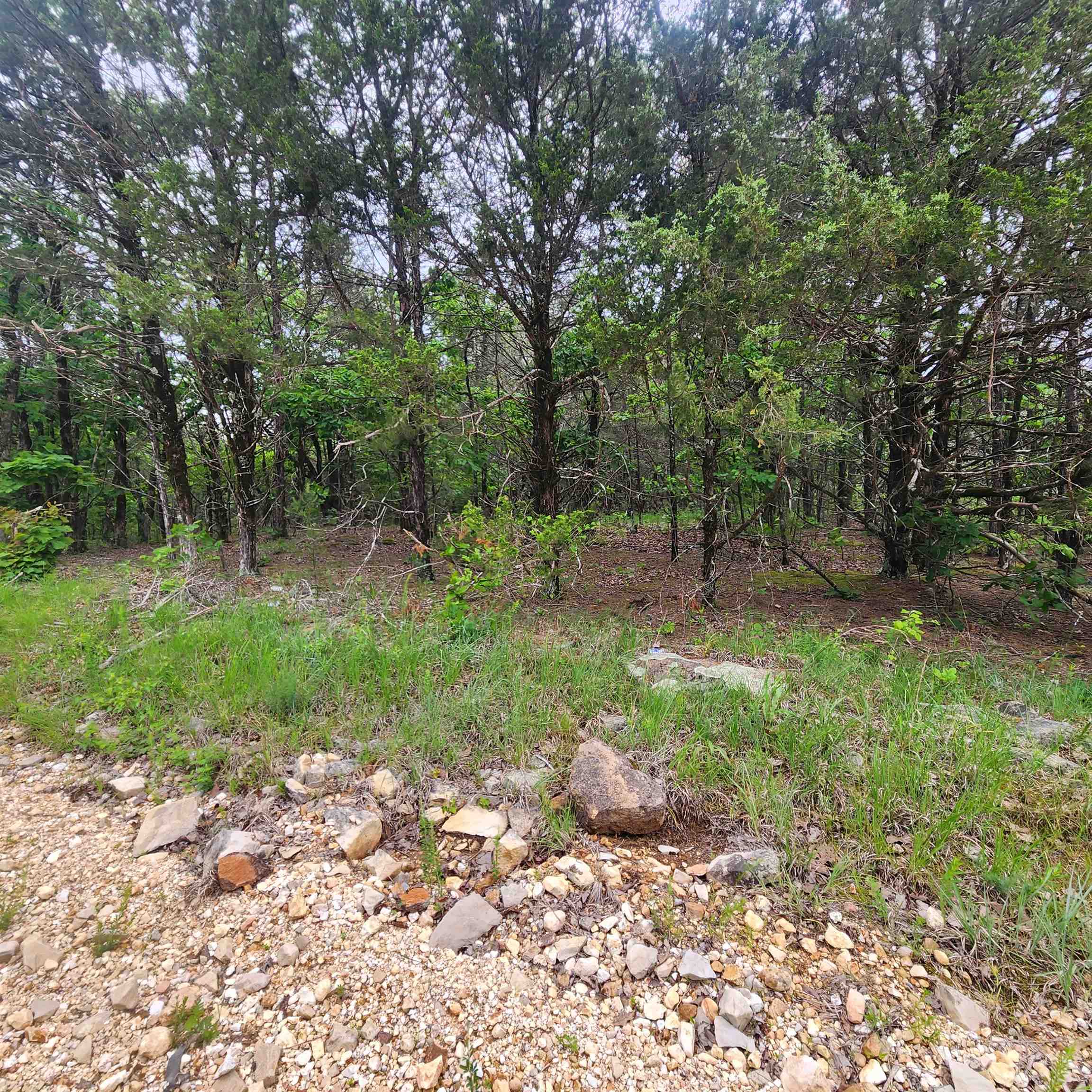 Photo 5 - Vacant Land for sale –   Powells Chapel   Evening Shade, AR