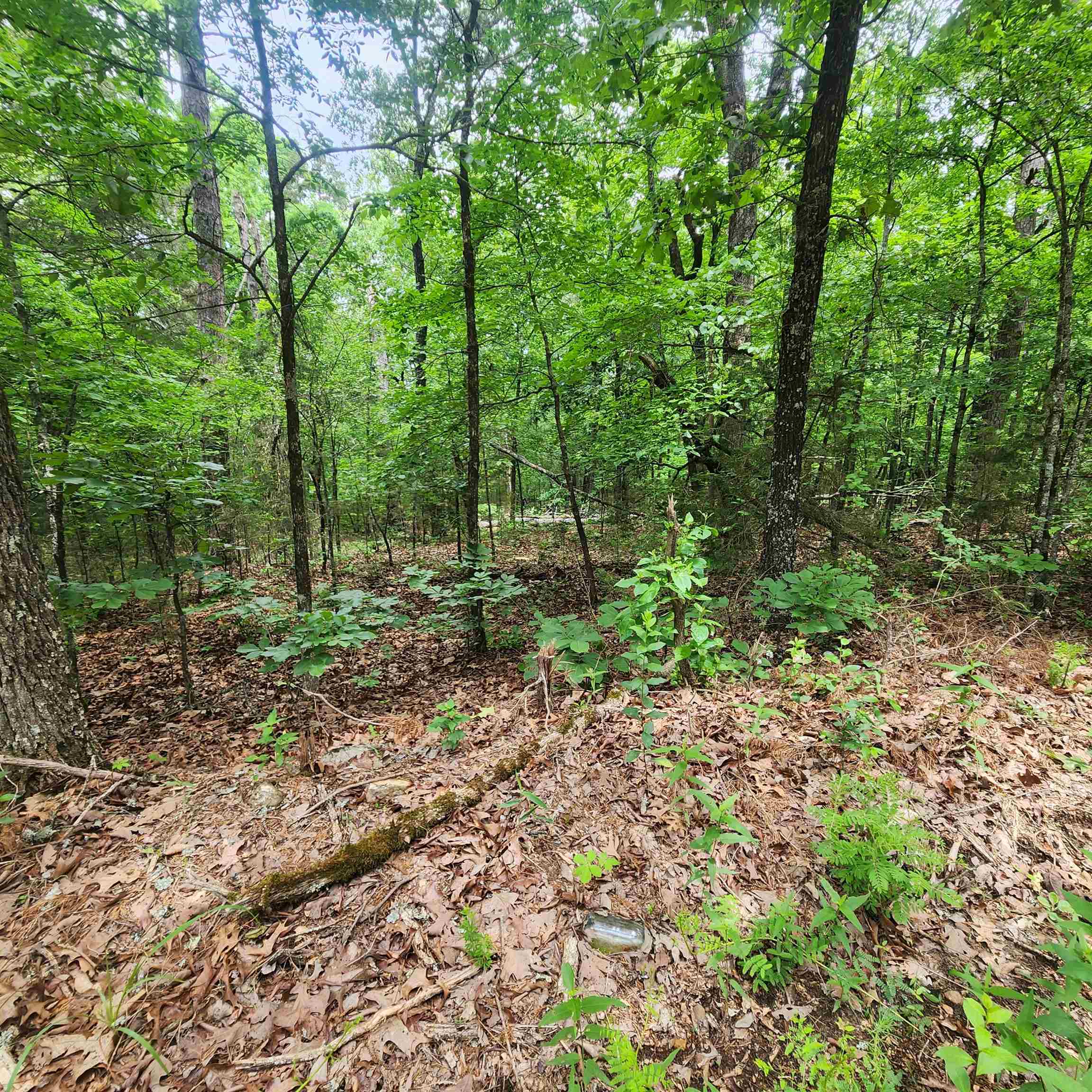 Photo 42 - Vacant Land for sale –   Powells Chapel   Evening Shade, AR