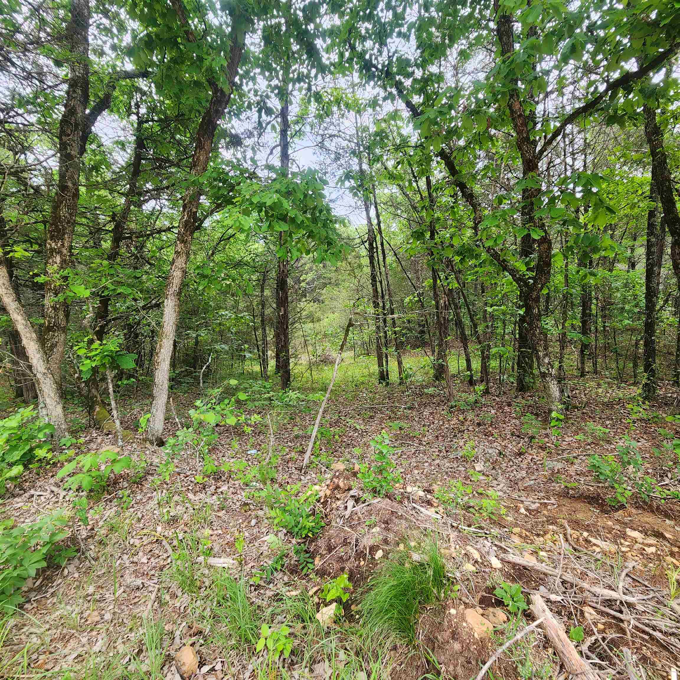 Photo 6 - Vacant Land for sale –   Powells Chapel   Evening Shade, AR