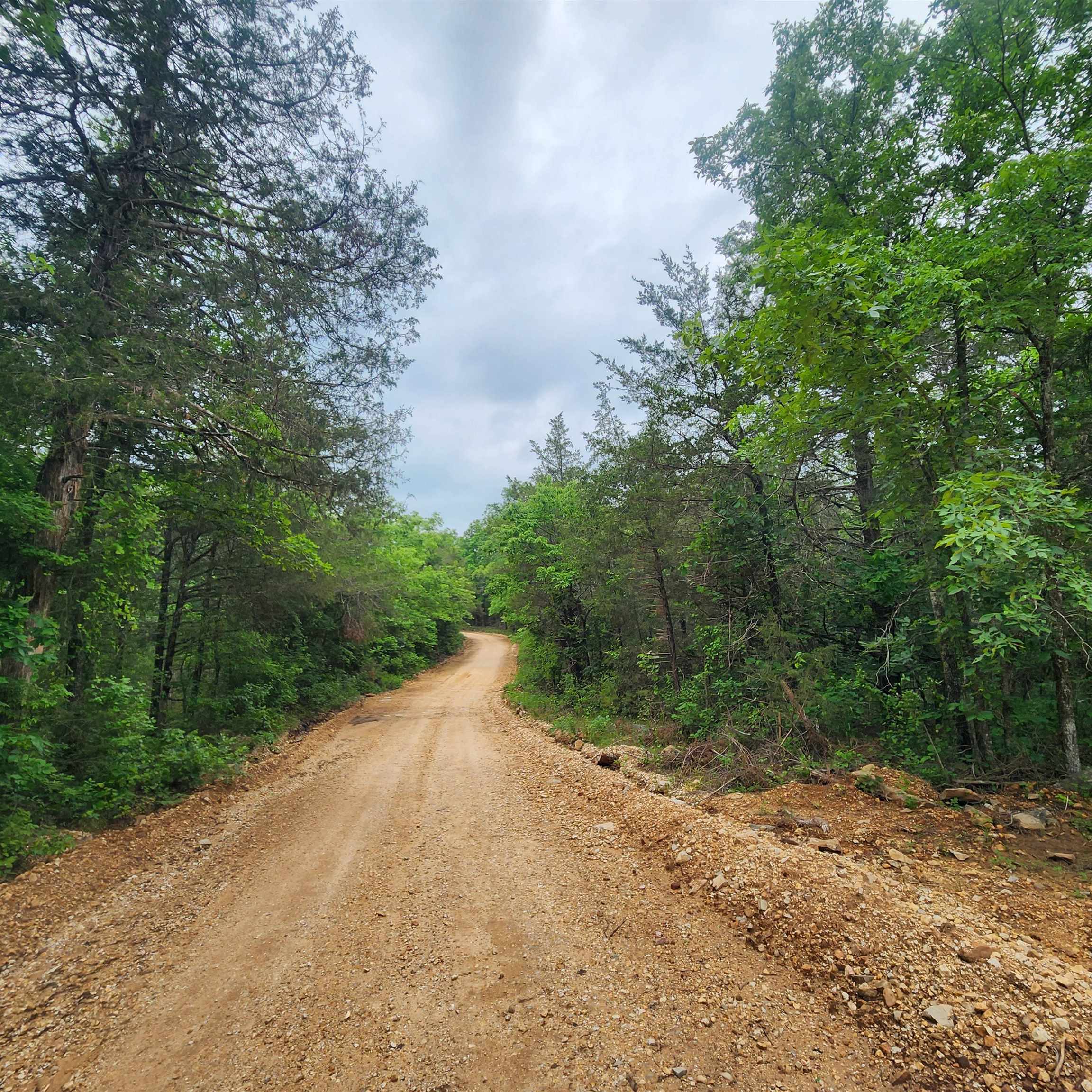 Photo 8 - Vacant Land for sale –   Powells Chapel   Evening Shade, AR