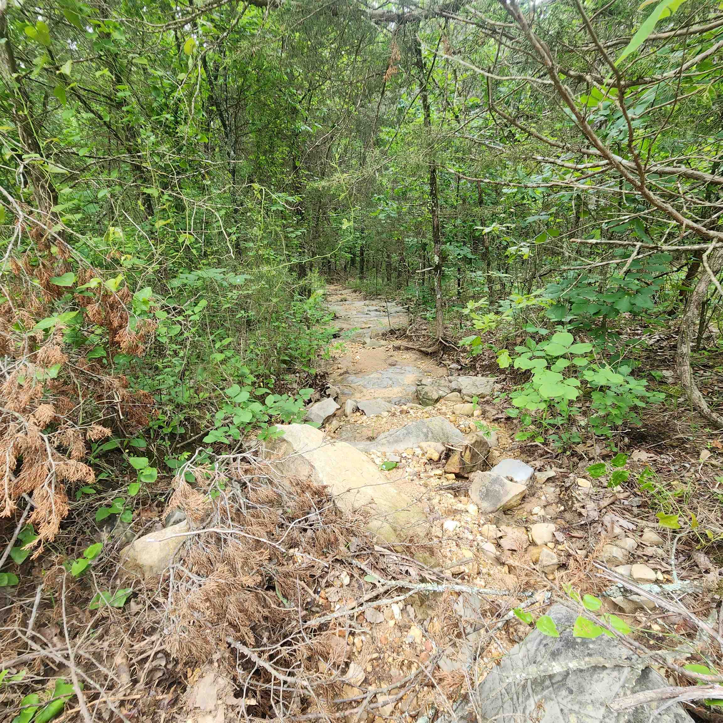 Photo 10 - Vacant Land for sale –   Powells Chapel   Evening Shade, AR