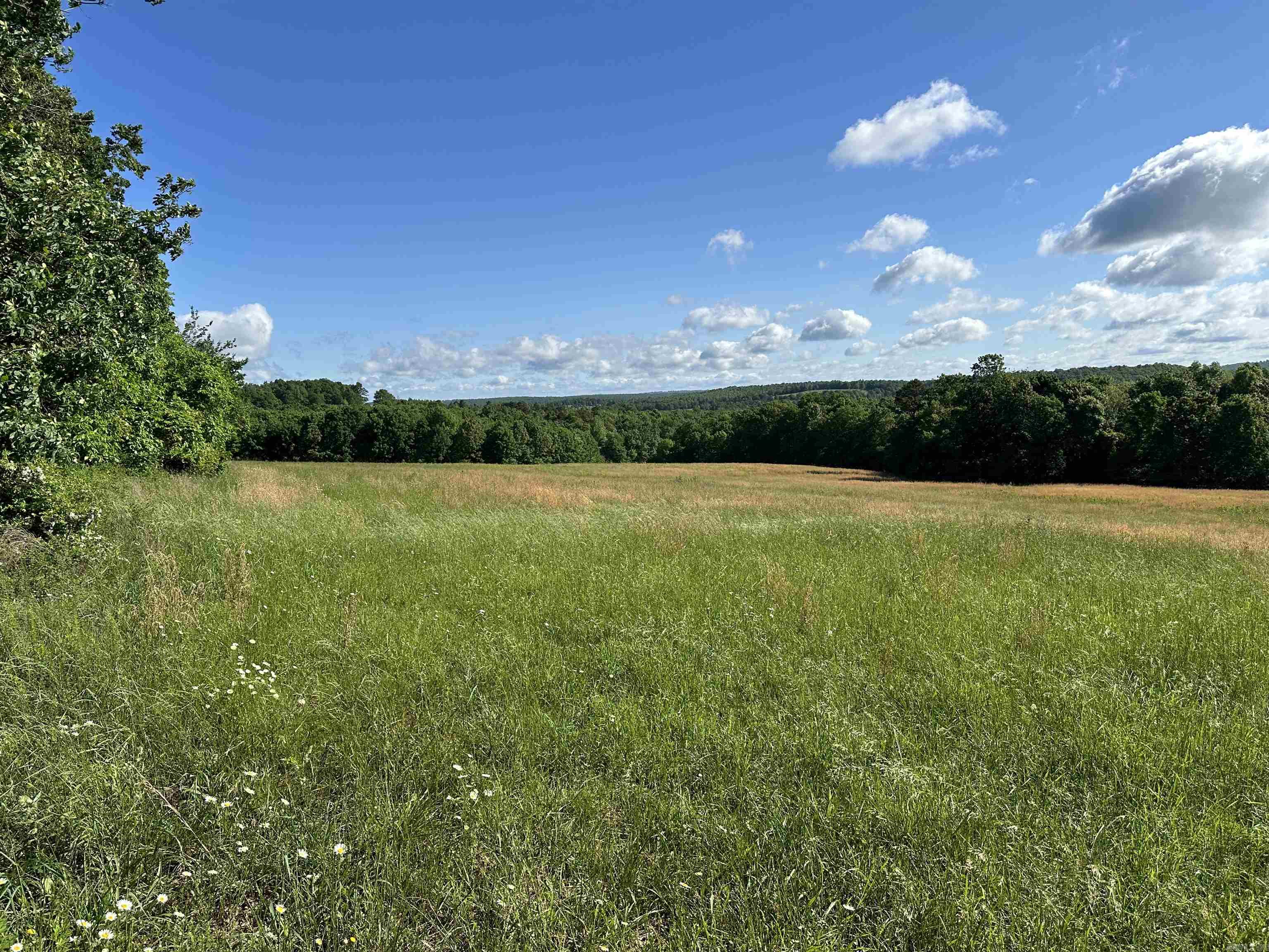 Photo 2 - Vacant Land for sale –   AR-254 W   Leslie, AR