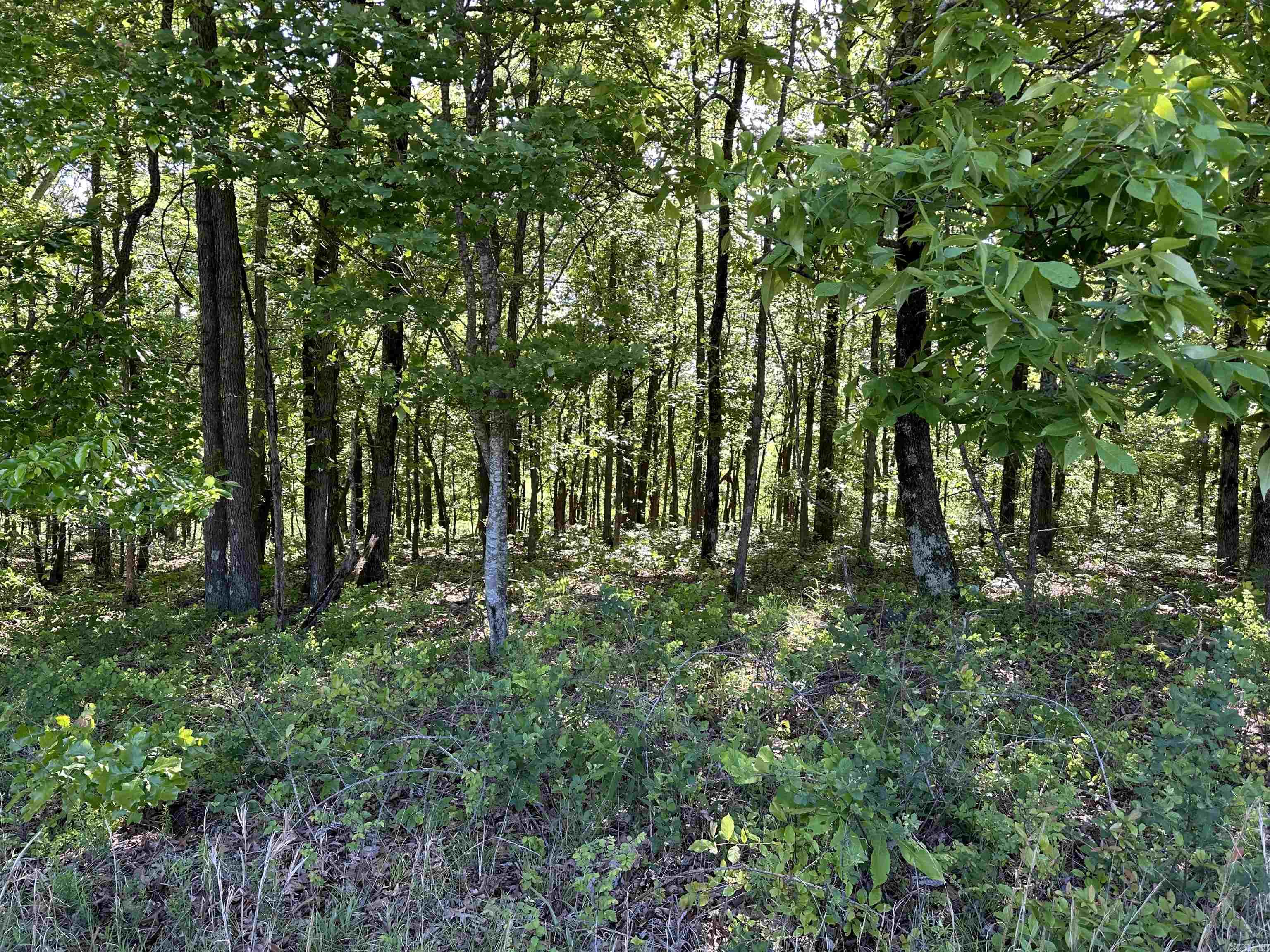 Photo 11 - Vacant Land for sale –   AR-254 W   Leslie, AR