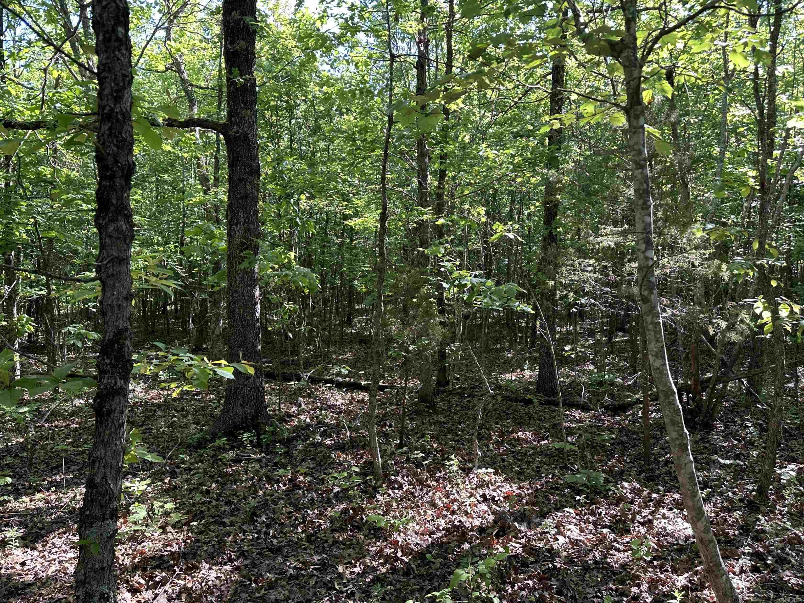 Photo 12 - Vacant Land for sale –   AR-254 W   Leslie, AR