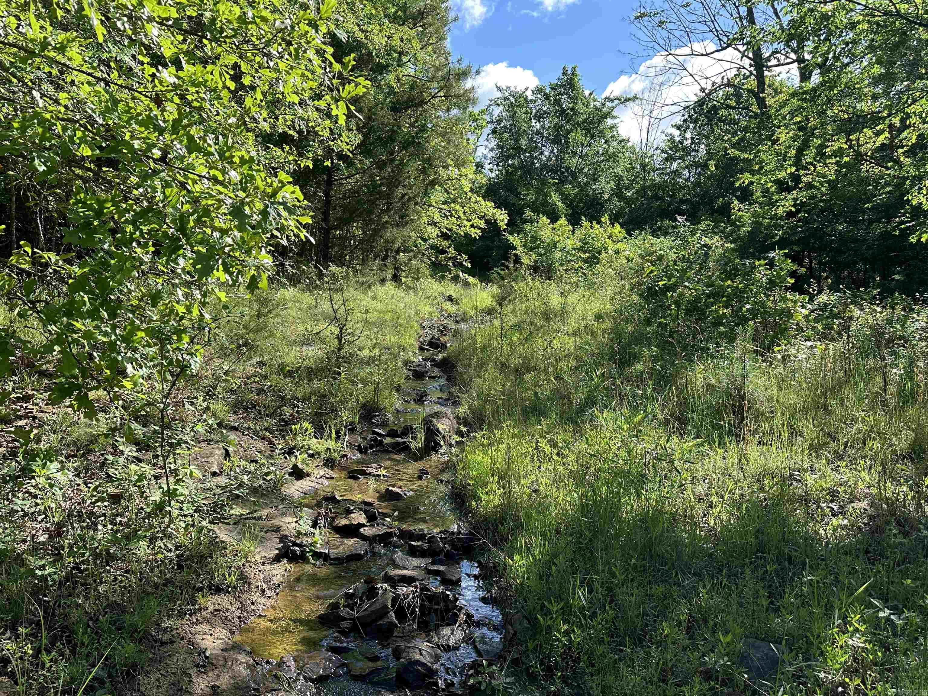 Photo 13 - Vacant Land for sale –   AR-254 W   Leslie, AR