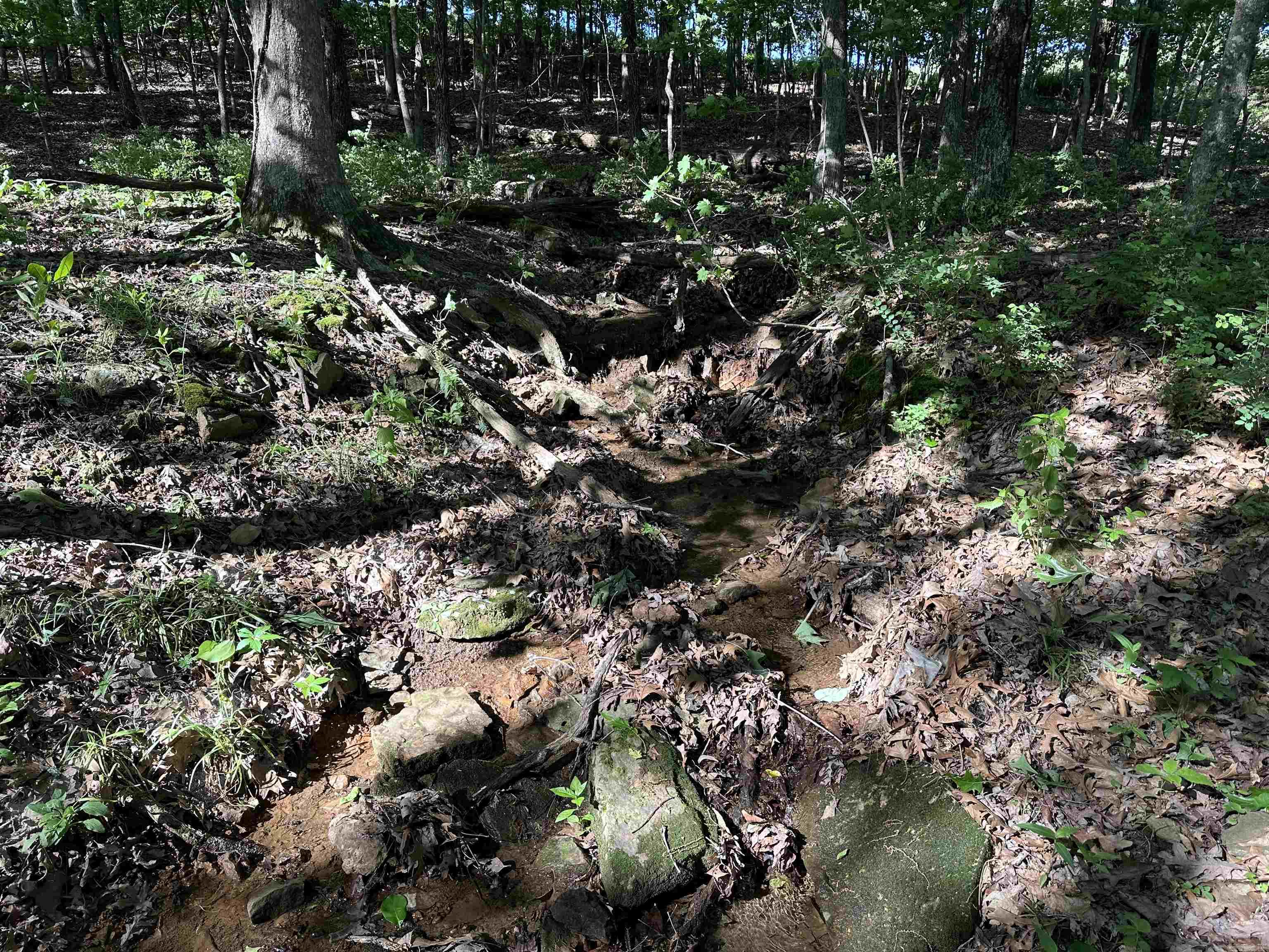Photo 14 - Vacant Land for sale –   AR-254 W   Leslie, AR