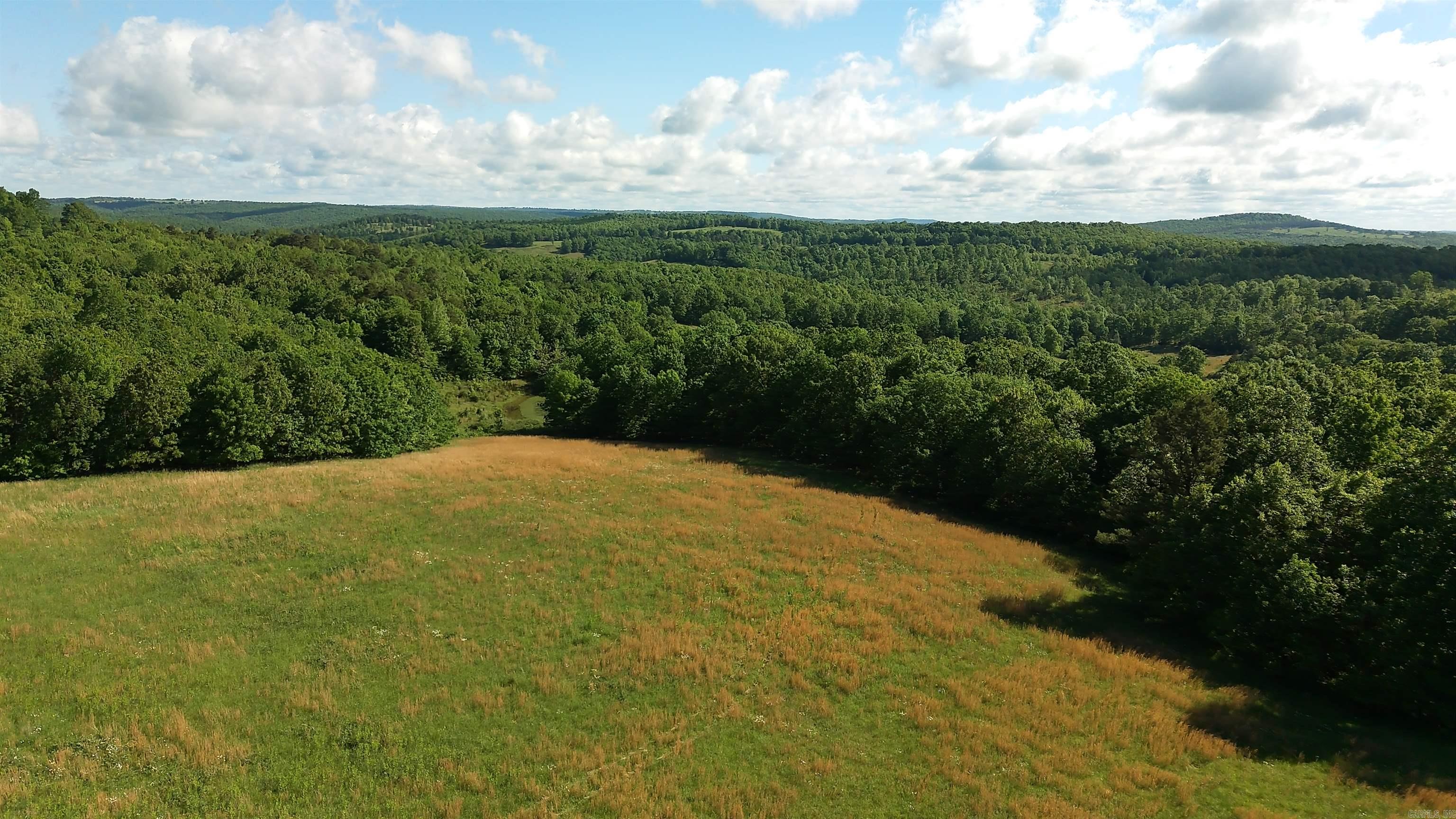 Photo 3 - Vacant Land for sale –   AR-254 W   Leslie, AR