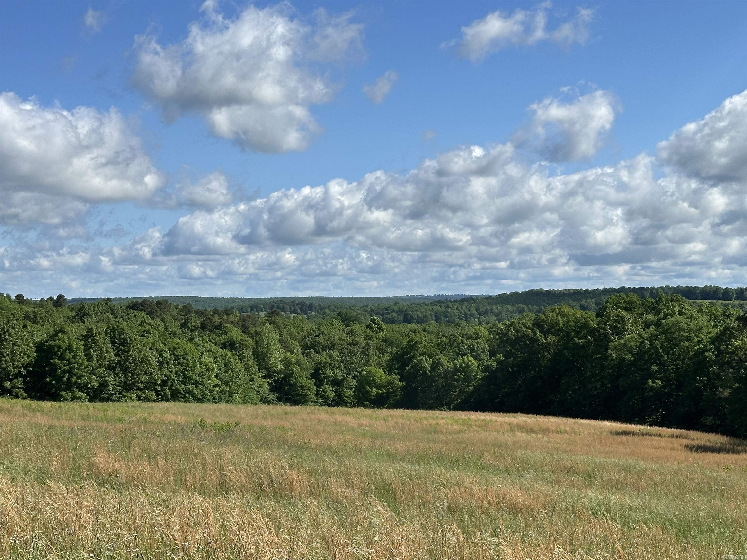 Photo 5 - Vacant Land for sale –   AR-254 W   Leslie, AR