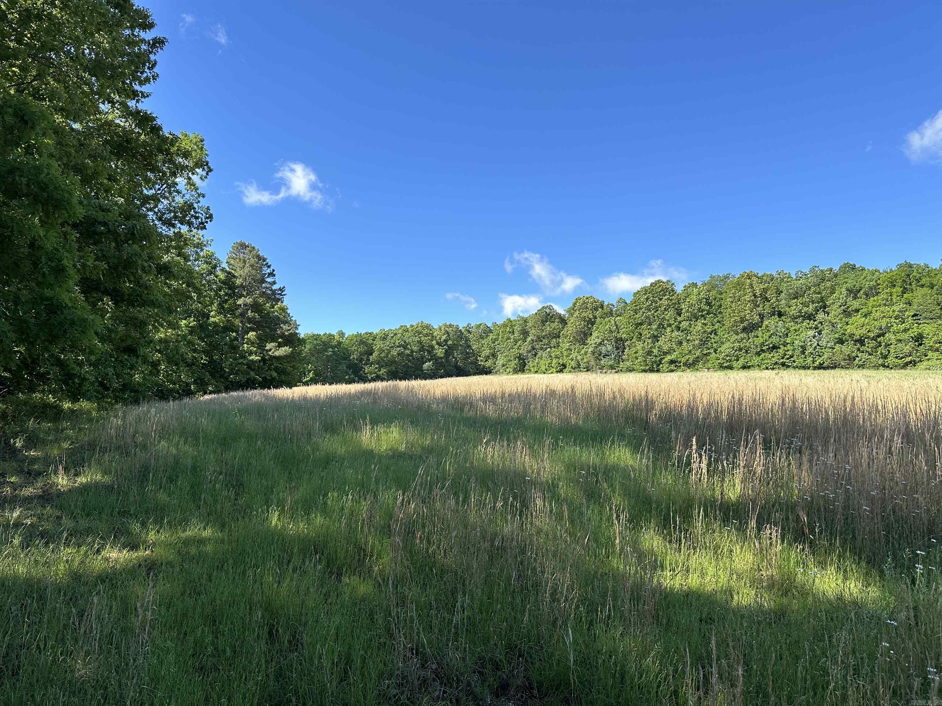 Photo 8 - Vacant Land for sale –   AR-254 W   Leslie, AR