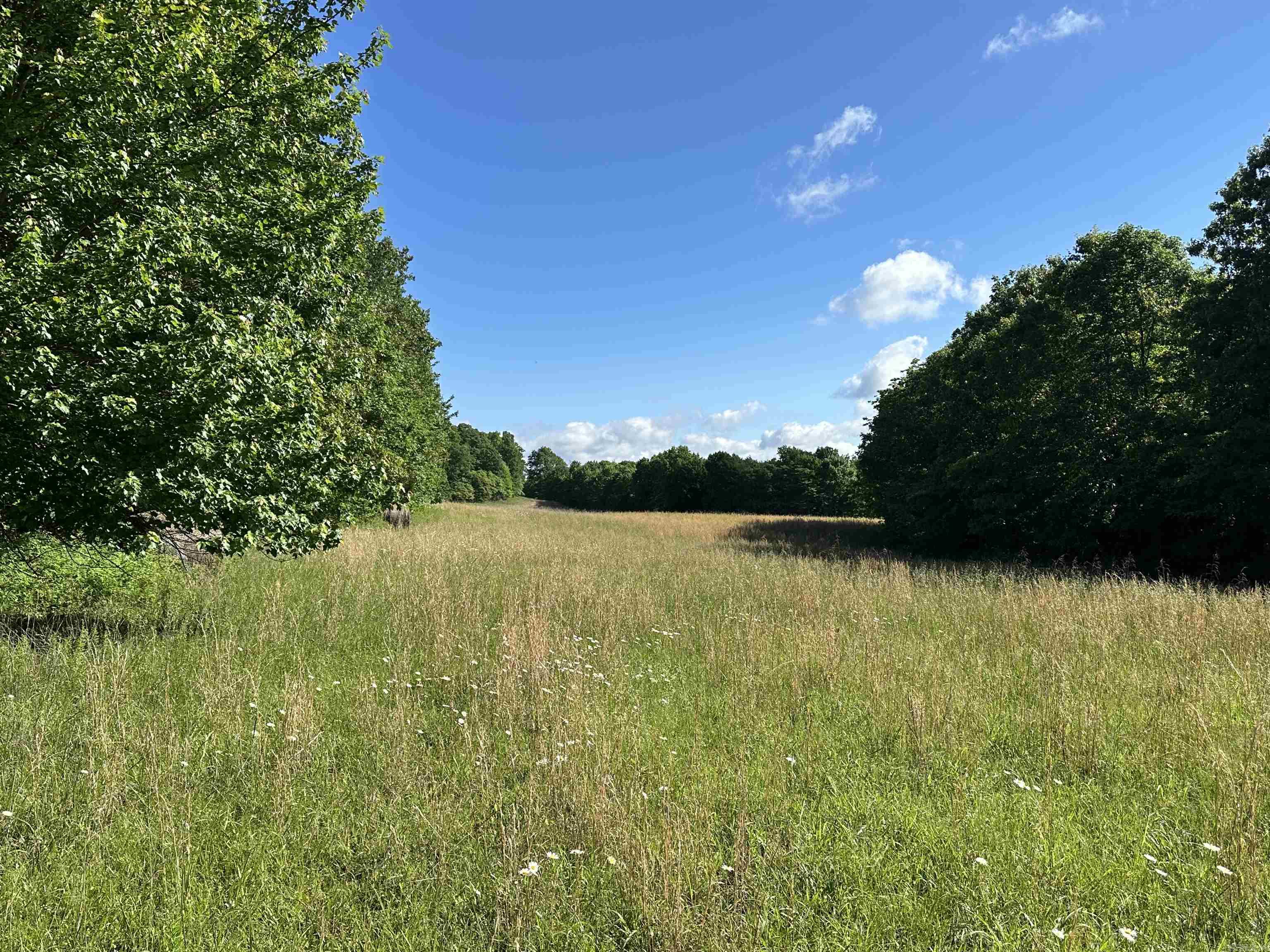 Photo 9 - Vacant Land for sale –   AR-254 W   Leslie, AR