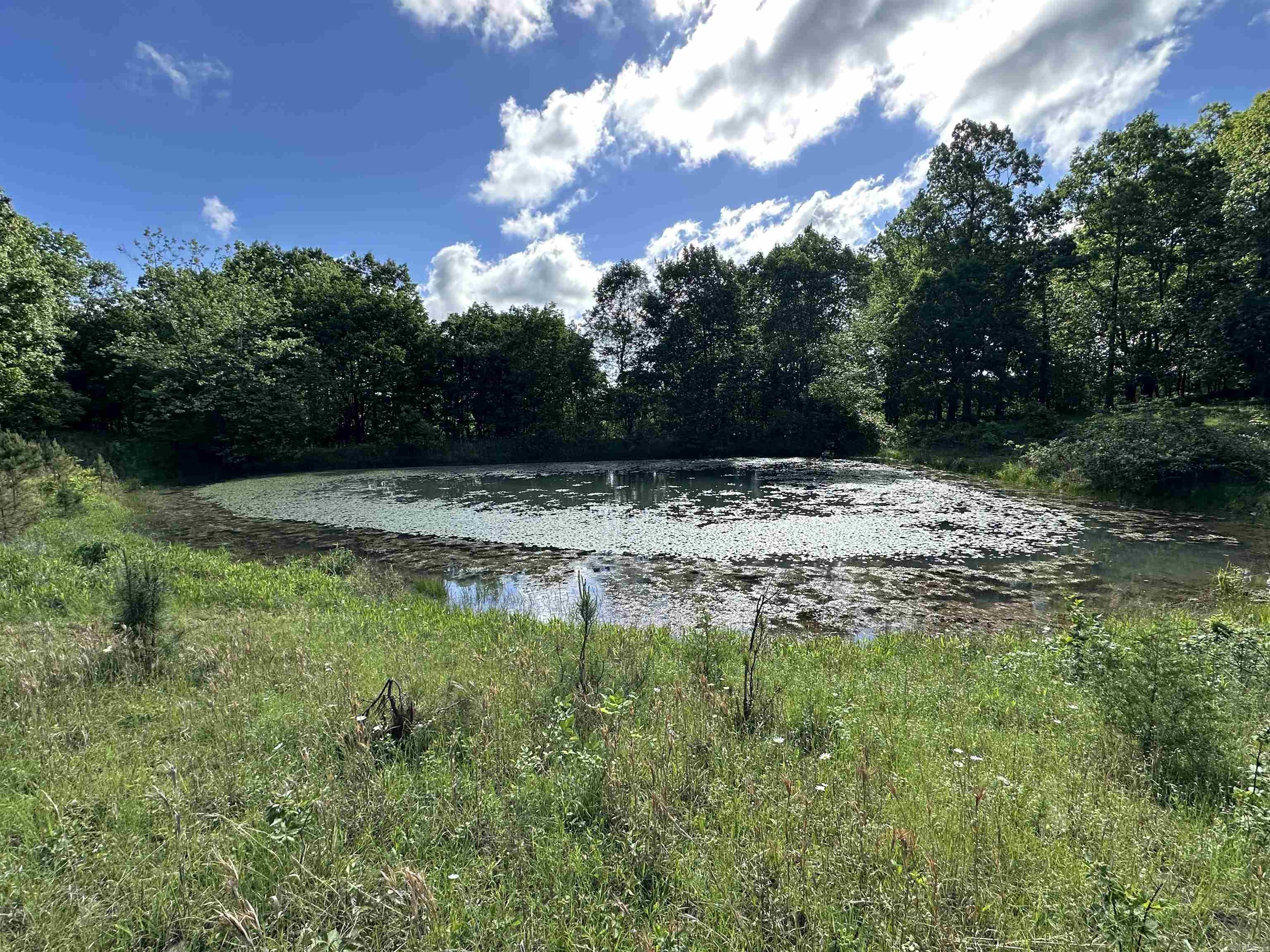 Photo 10 - Vacant Land for sale –   AR-254 W   Leslie, AR