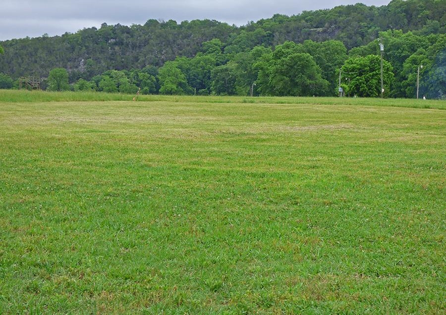 Photo 3 - Vacant Land for sale –   Griffin   Hardy, AR