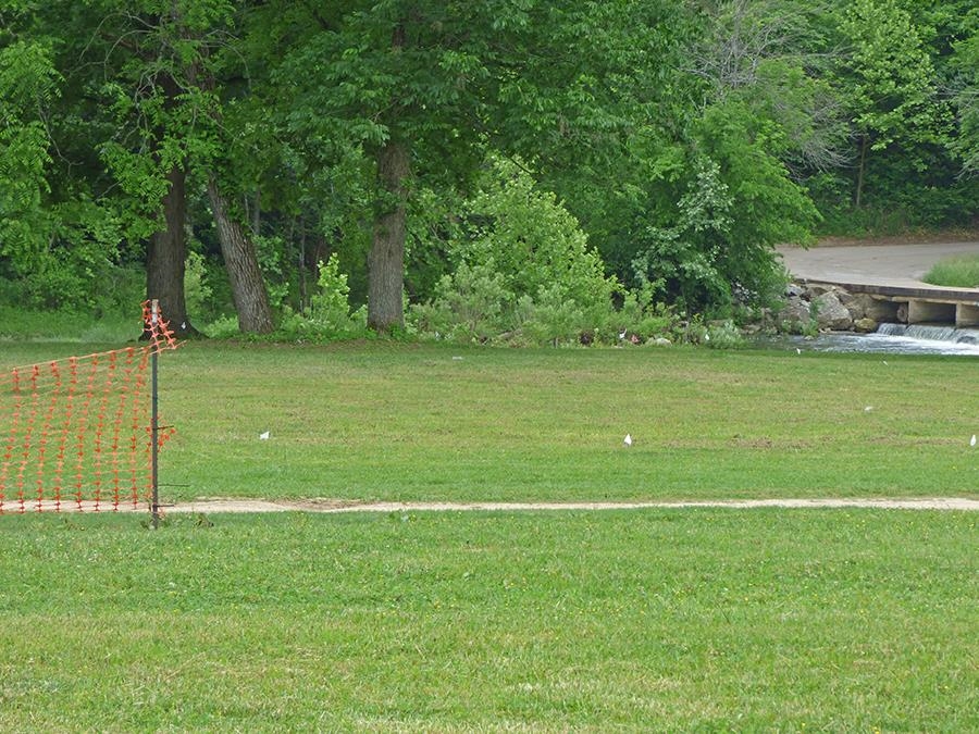 Photo 5 - Vacant Land for sale –   Griffin   Hardy, AR