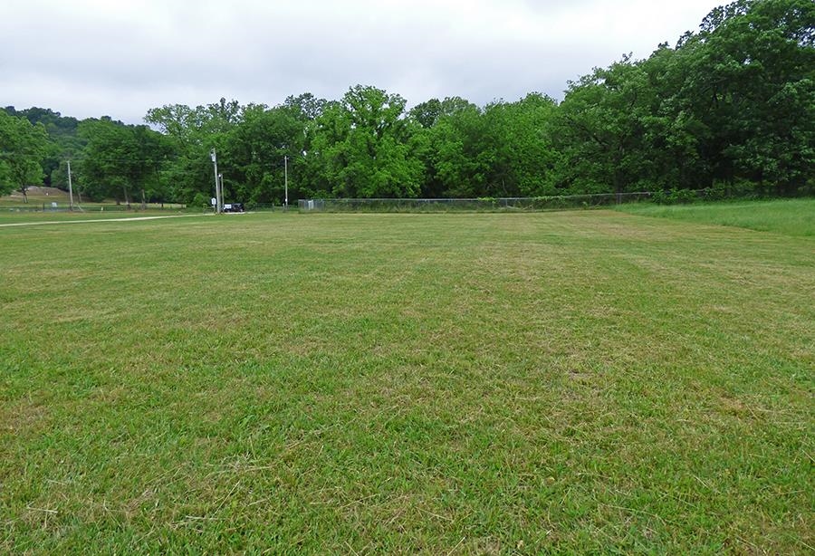 Photo 7 - Vacant Land for sale –   Griffin   Hardy, AR