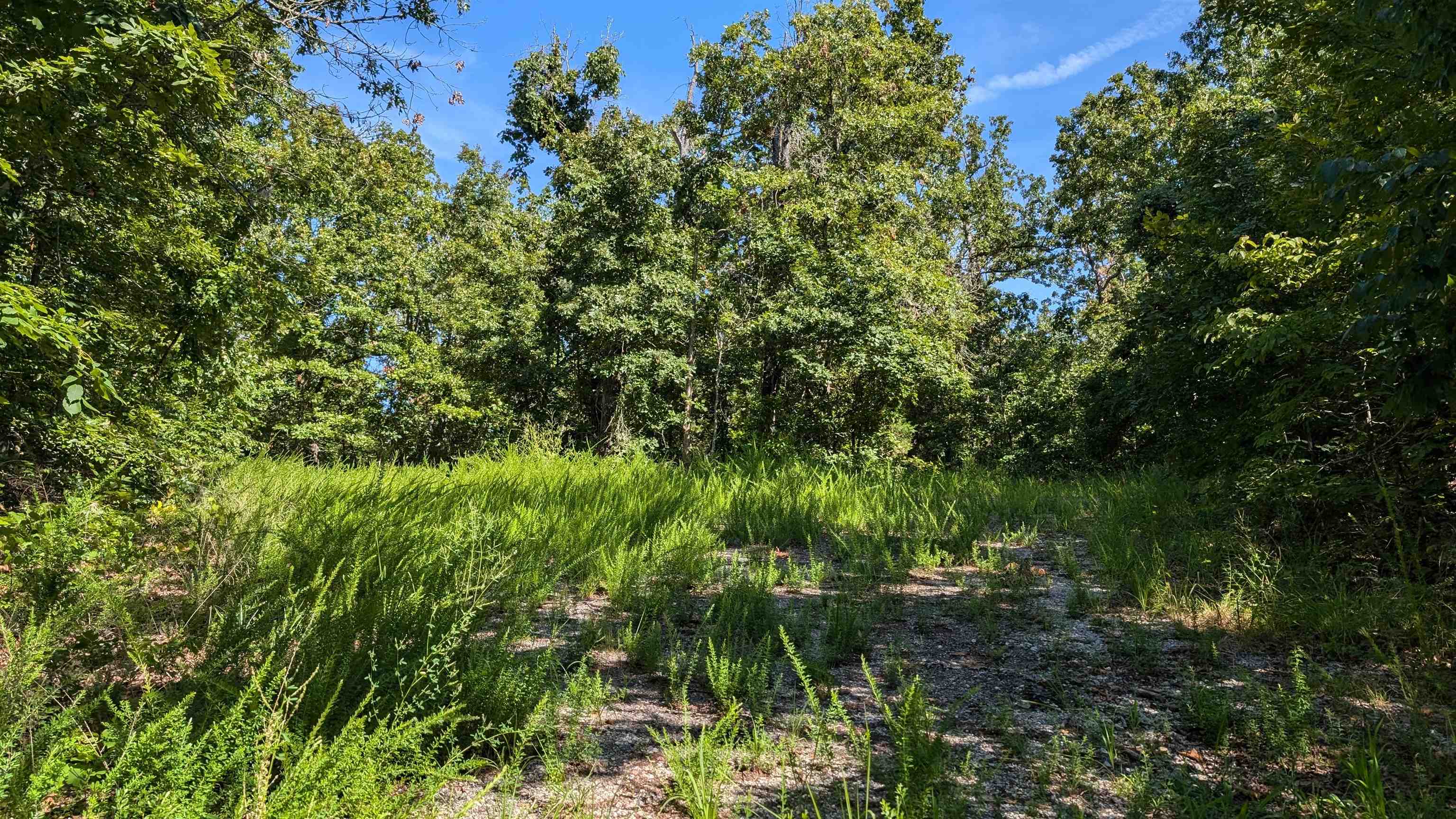 Photo 11 - Vacant Land for sale – 5  Sagwah   Cherokee Village, AR