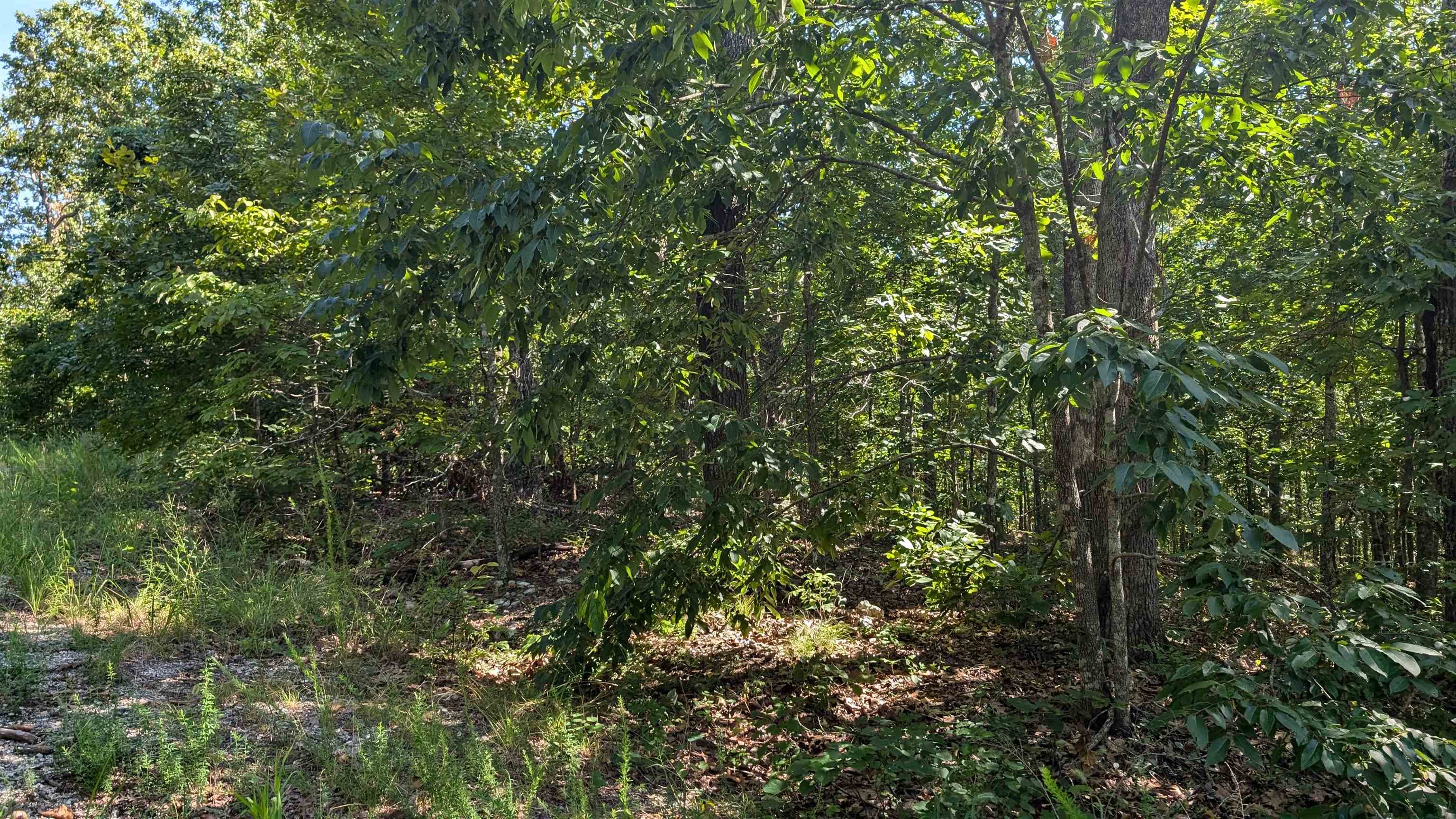 Photo 12 - Vacant Land for sale – 5  Sagwah   Cherokee Village, AR