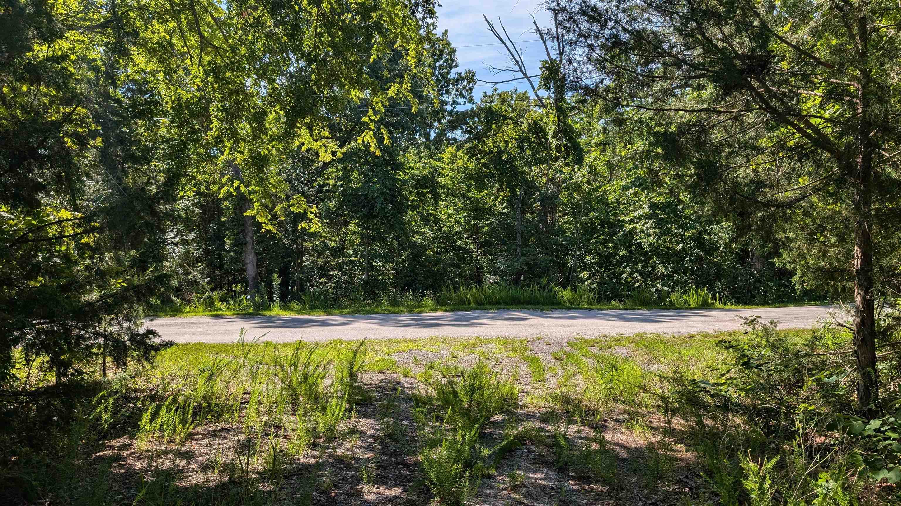 Photo 13 - Vacant Land for sale – 5  Sagwah   Cherokee Village, AR