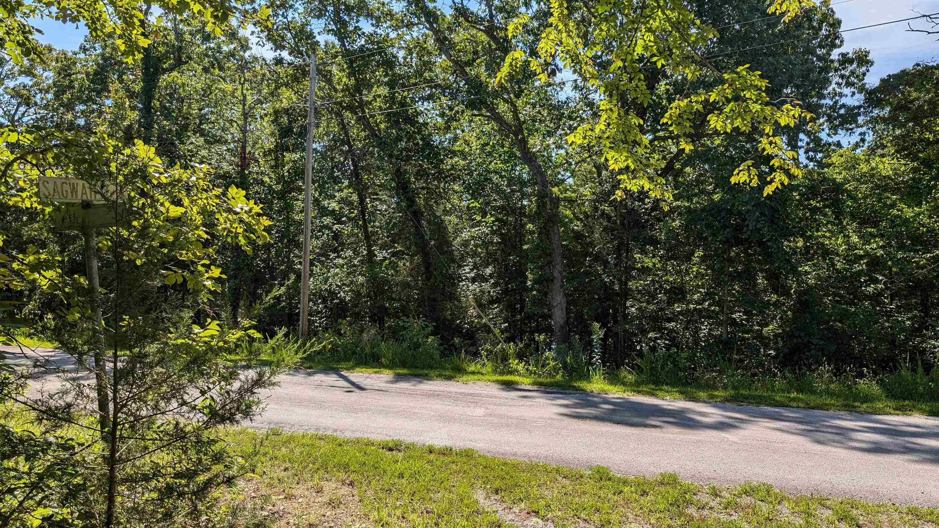Photo 14 - Vacant Land for sale – 5  Sagwah   Cherokee Village, AR