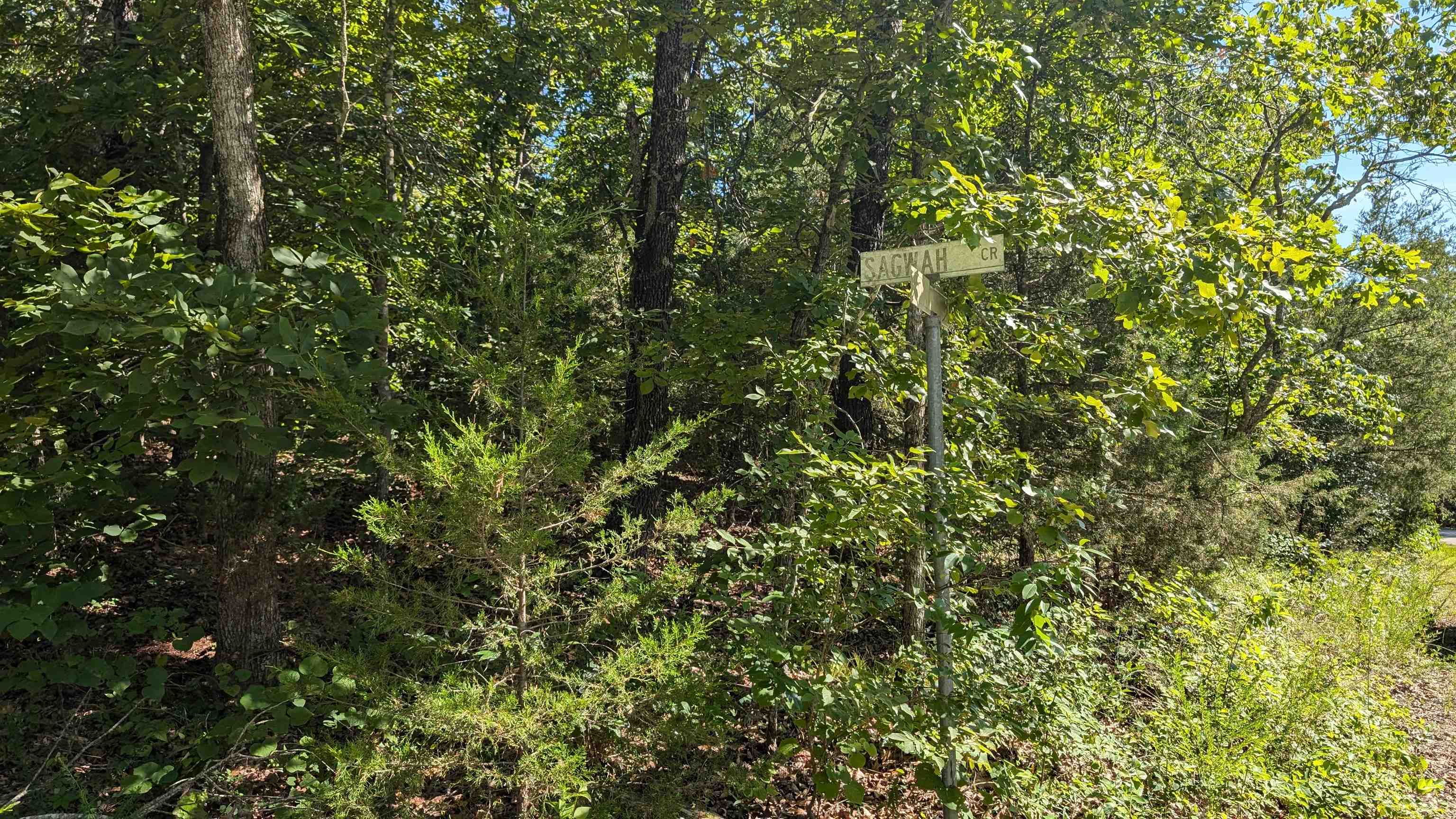Photo 7 - Vacant Land for sale – 5  Sagwah   Cherokee Village, AR