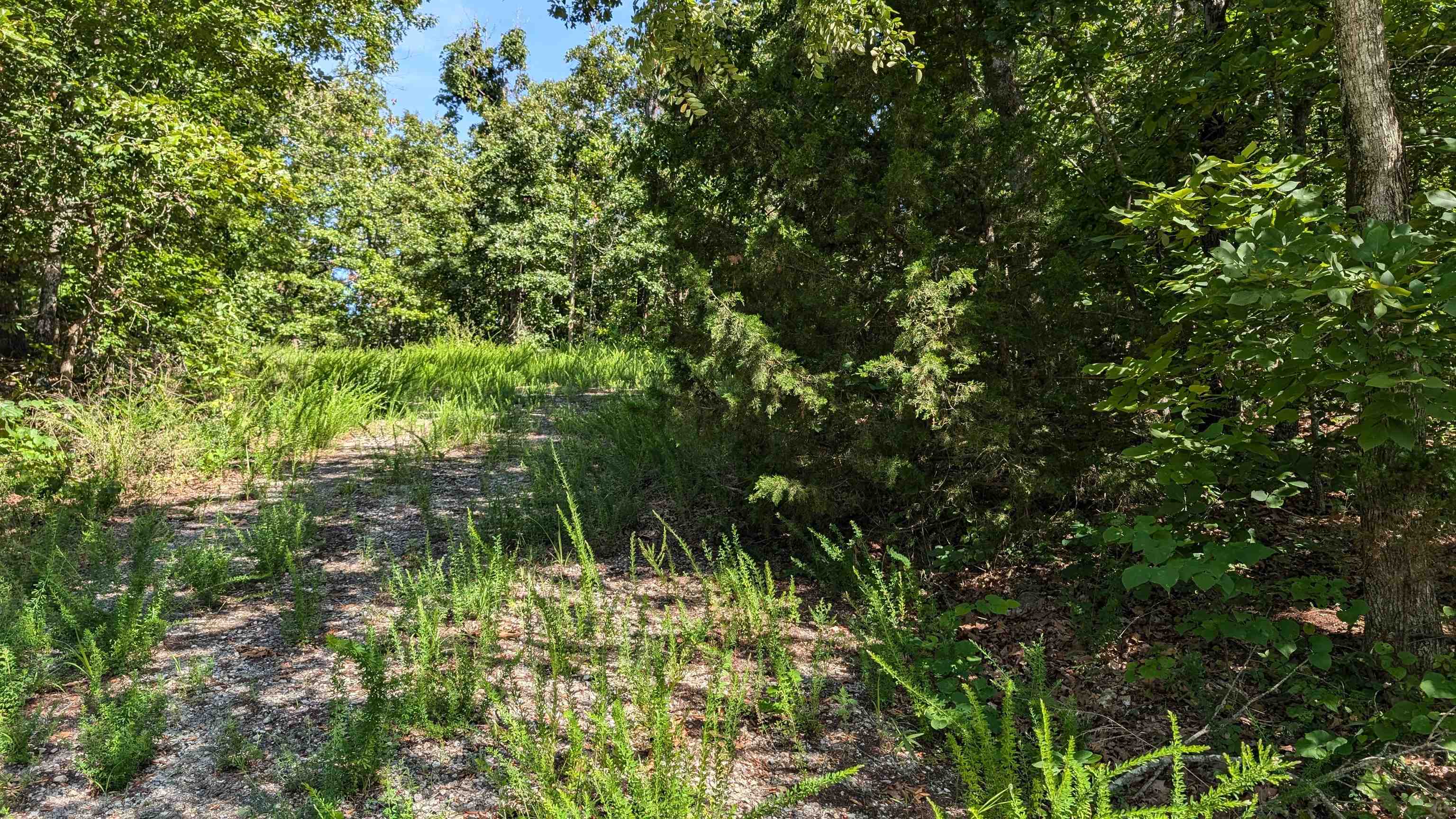 Photo 8 - Vacant Land for sale – 5  Sagwah   Cherokee Village, AR
