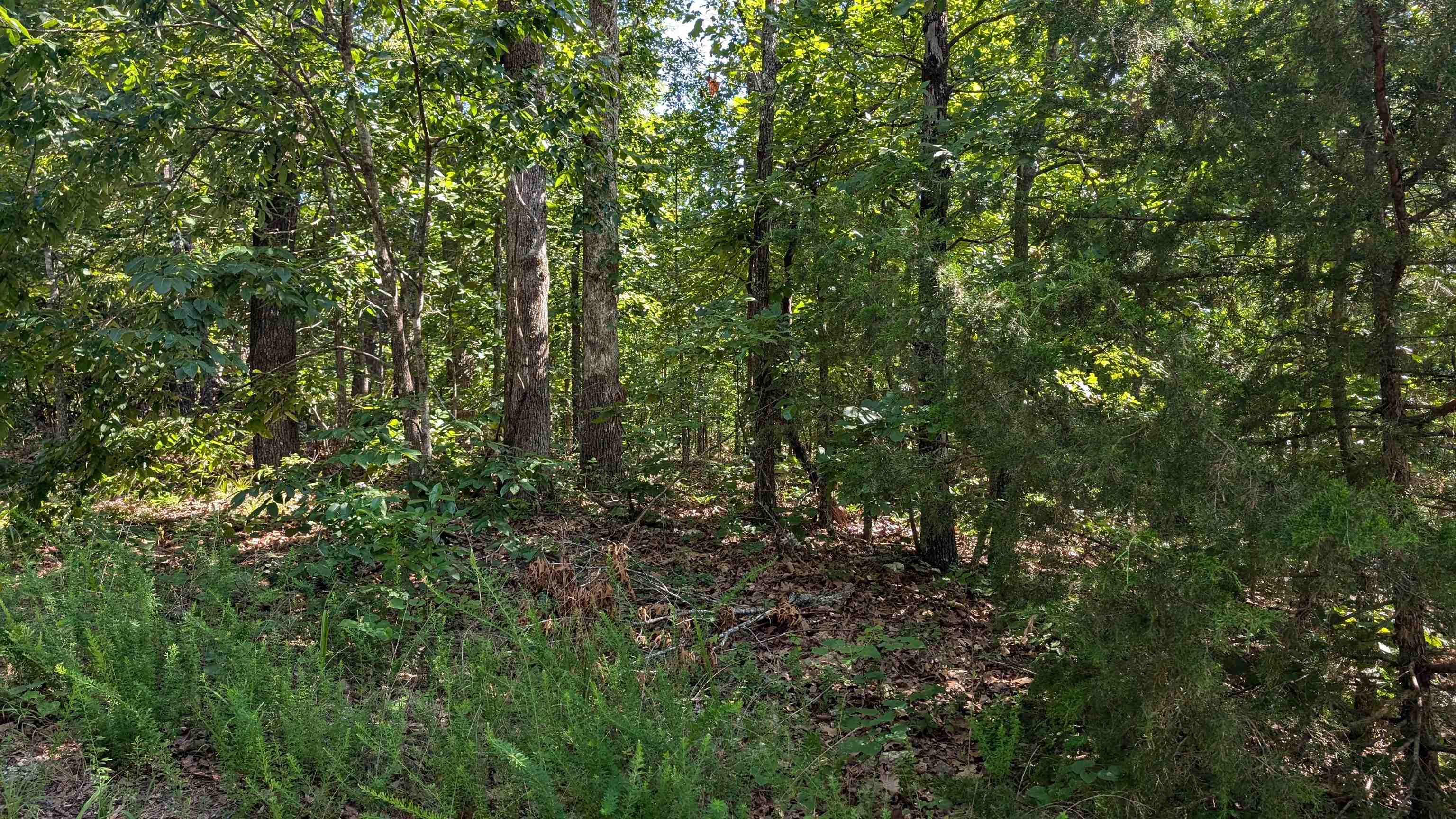 Photo 10 - Vacant Land for sale – 5  Sagwah   Cherokee Village, AR