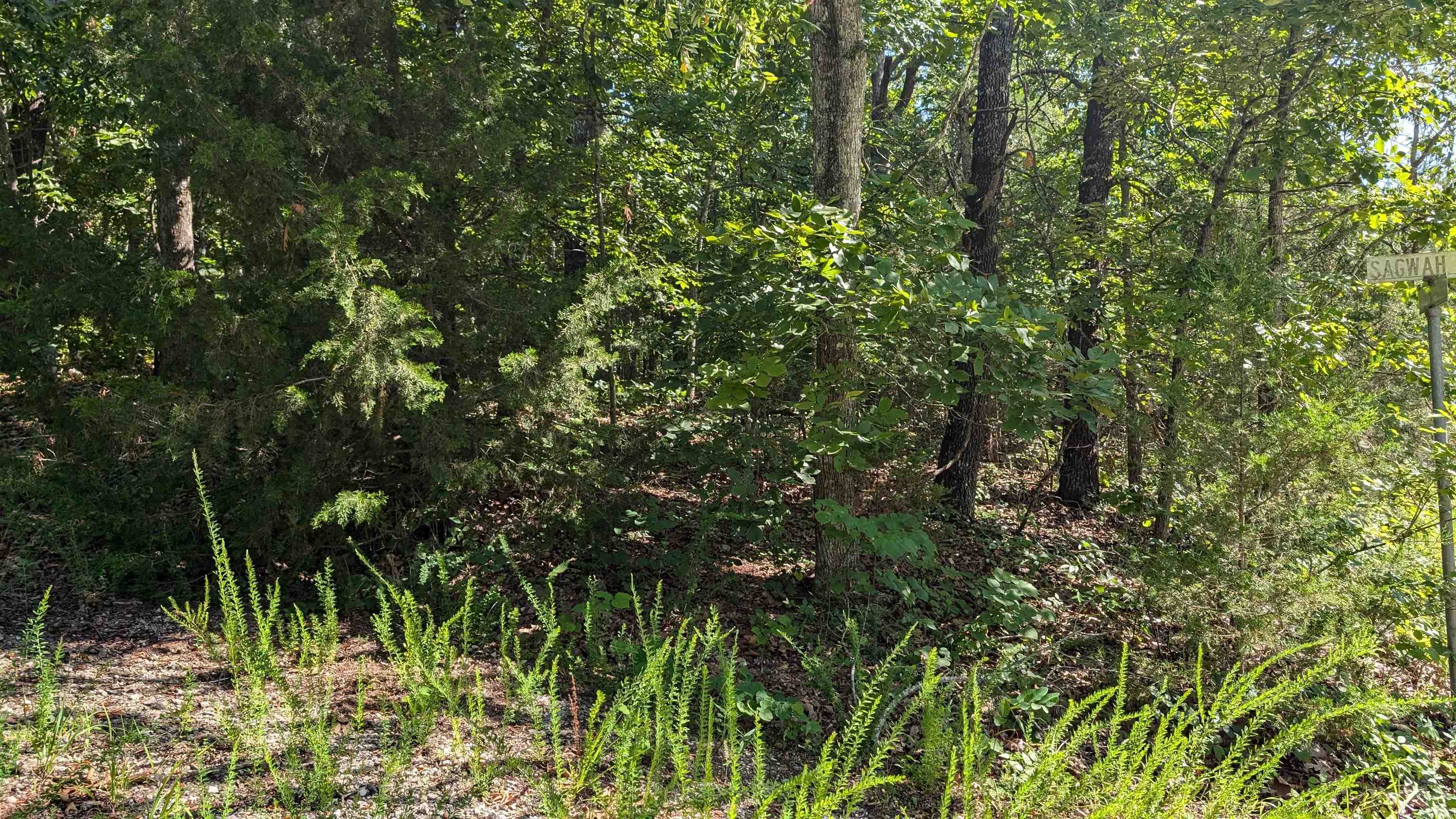 Photo 9 - Vacant Land for sale –   Sagwah Adam Drive  Cherokee Village, AR