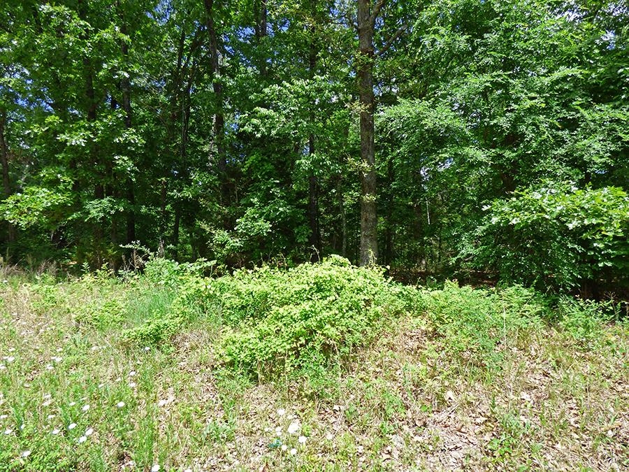 Vacant Land for sale – 902 N Sequoia   Horseshoe Bend, AR