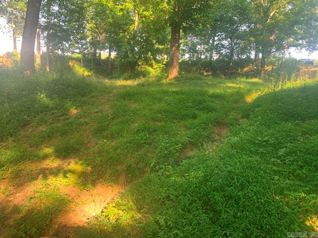 Photo 3 - Vacant Land for sale – 124  Hwy 124   Pangburn, AR