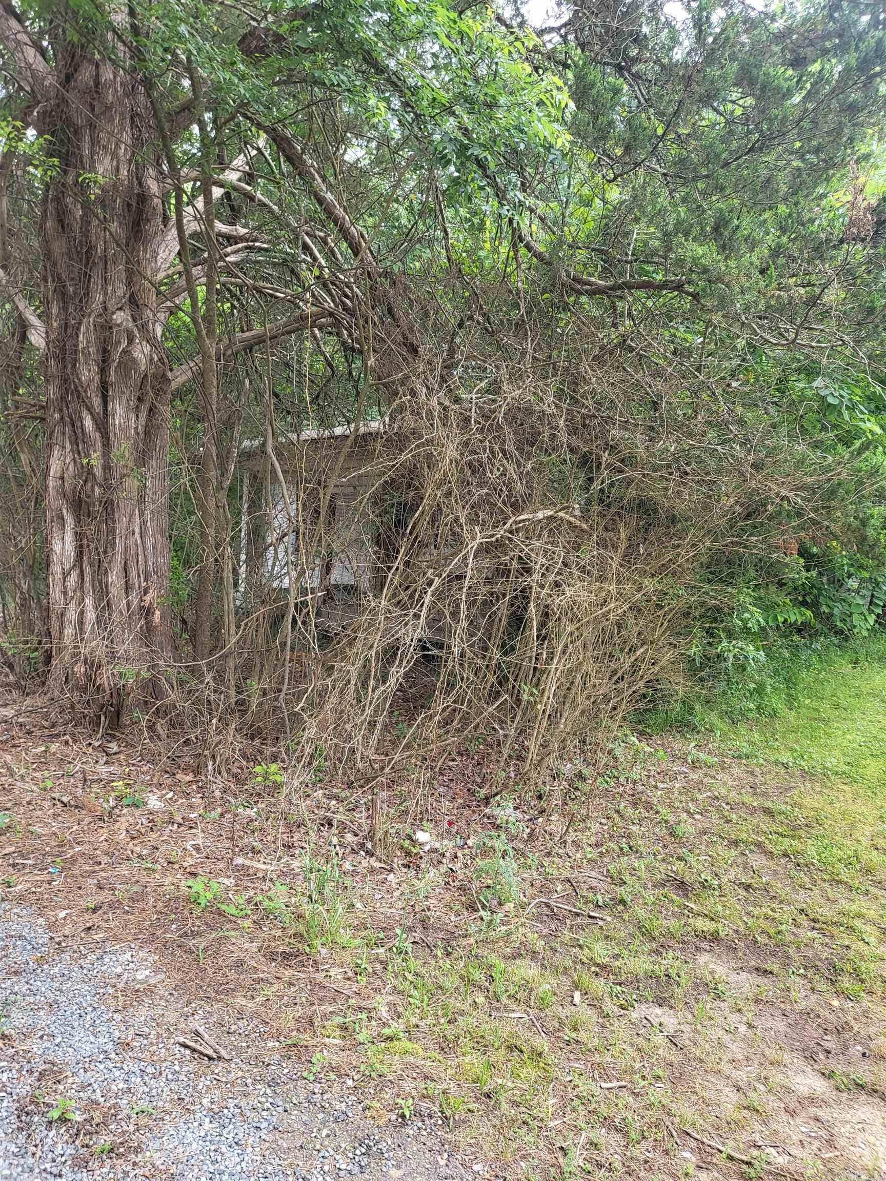 318 Carrie Gurdon, AR 71743 MLS 24017342