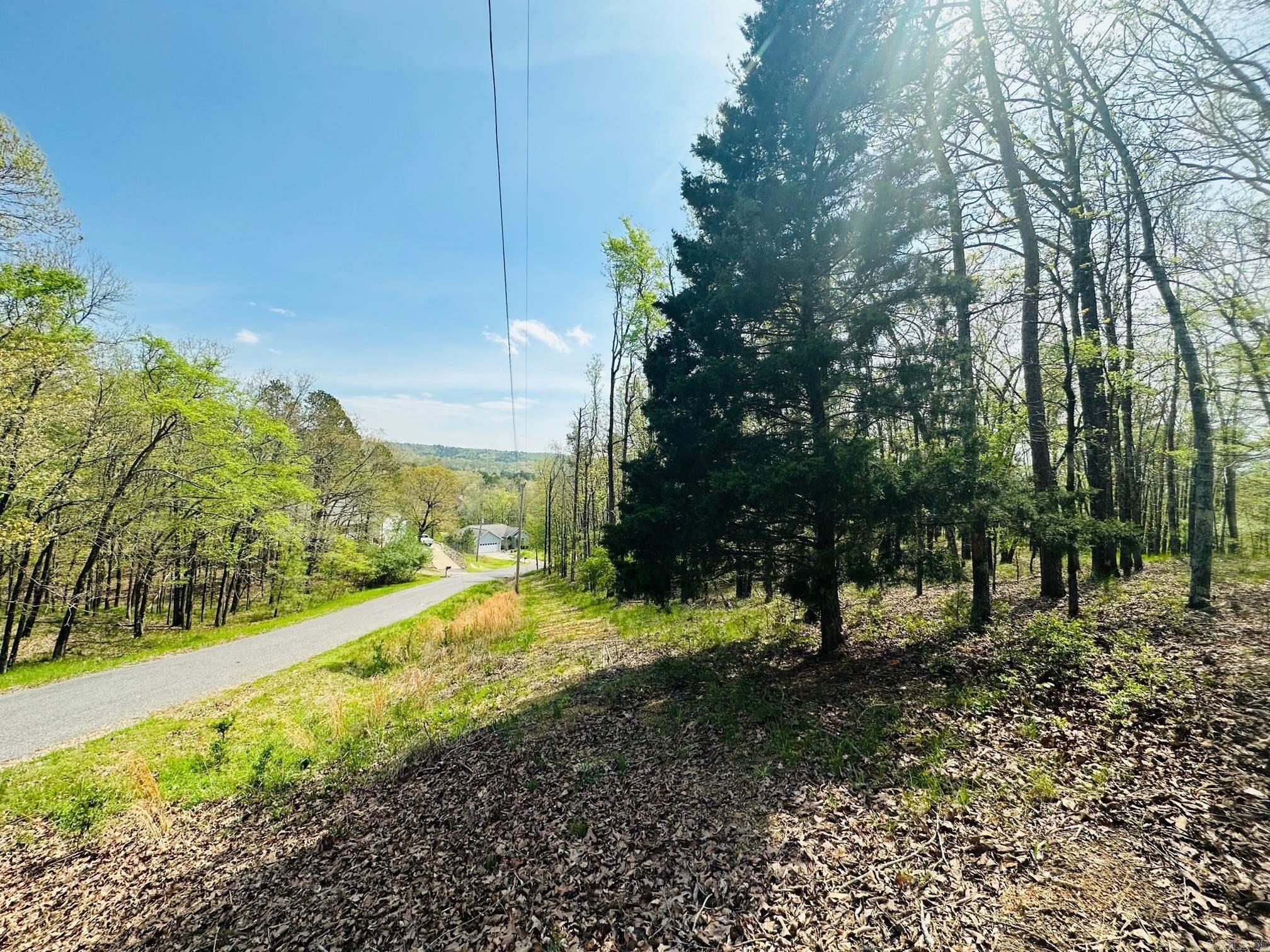 Photo 2 - Vacant Land for sale – 1428  St Andrews   Hot Springs, AR