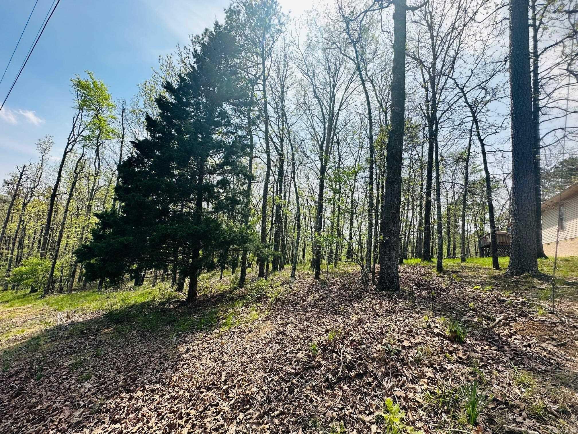 Photo 3 - Vacant Land for sale – 1428  St Andrews   Hot Springs, AR