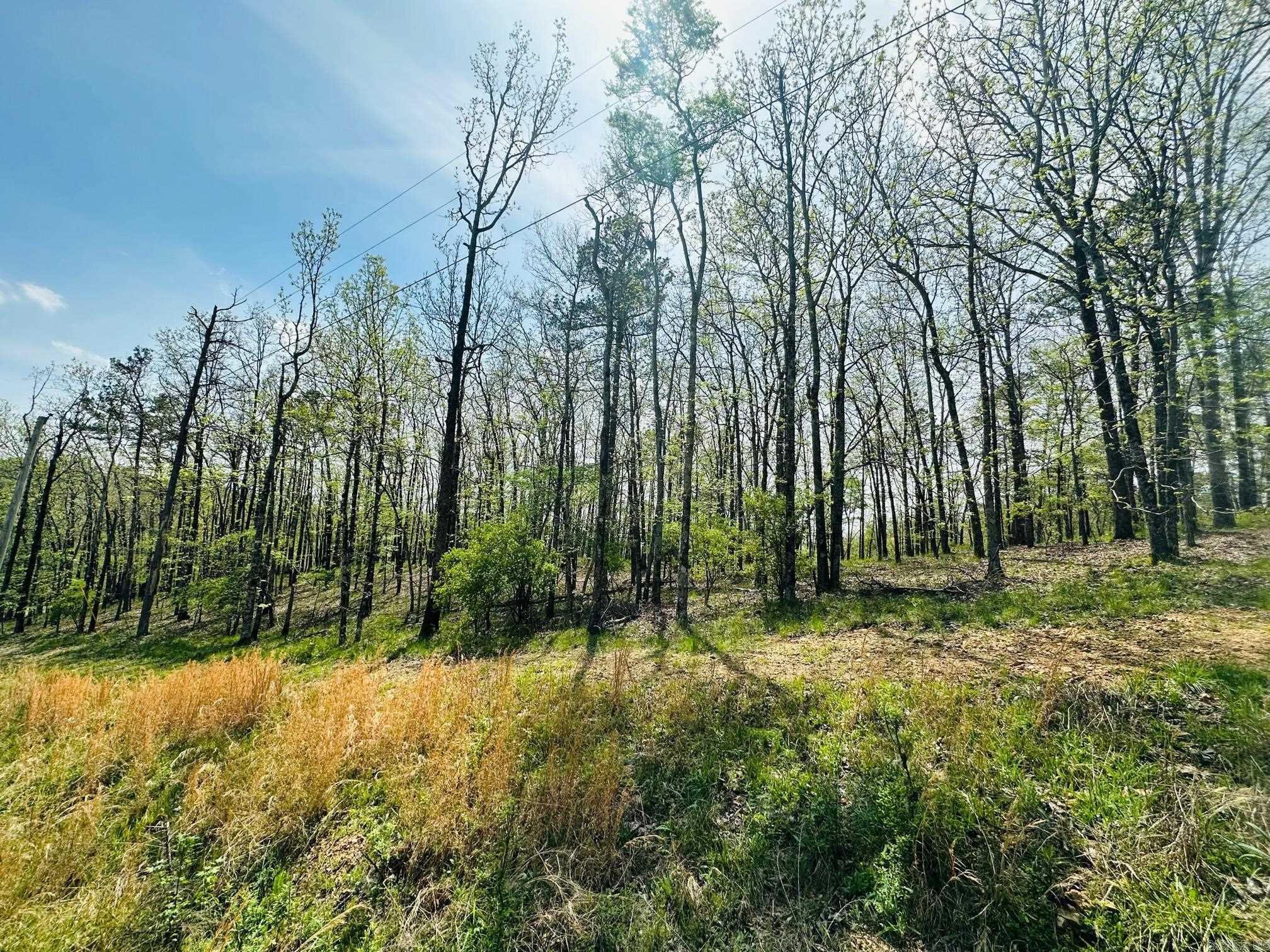 Photo 4 - Vacant Land for sale – 1428  St Andrews   Hot Springs, AR