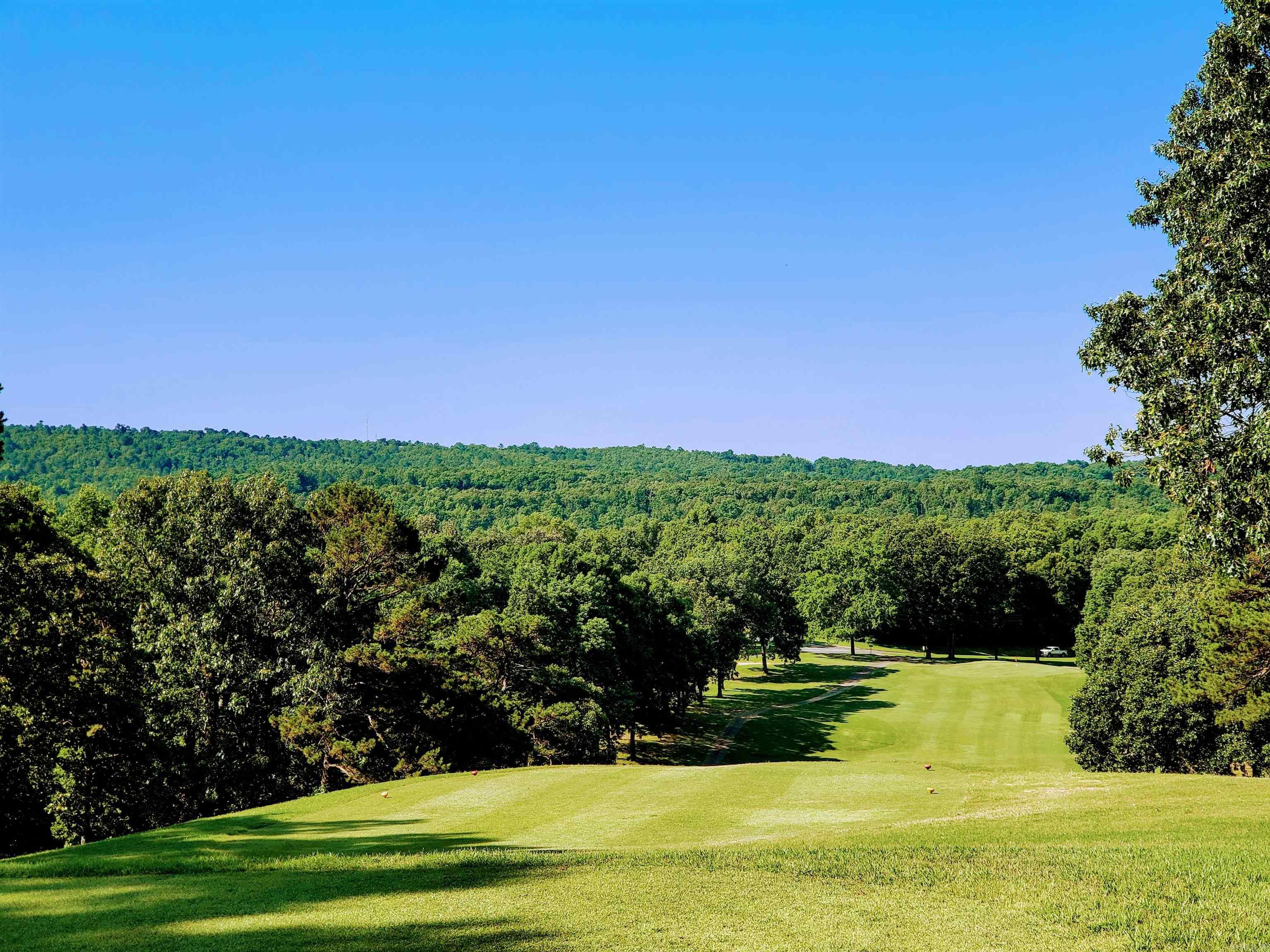 Photo 7 - Vacant Land for sale – 1428  St Andrews   Hot Springs, AR
