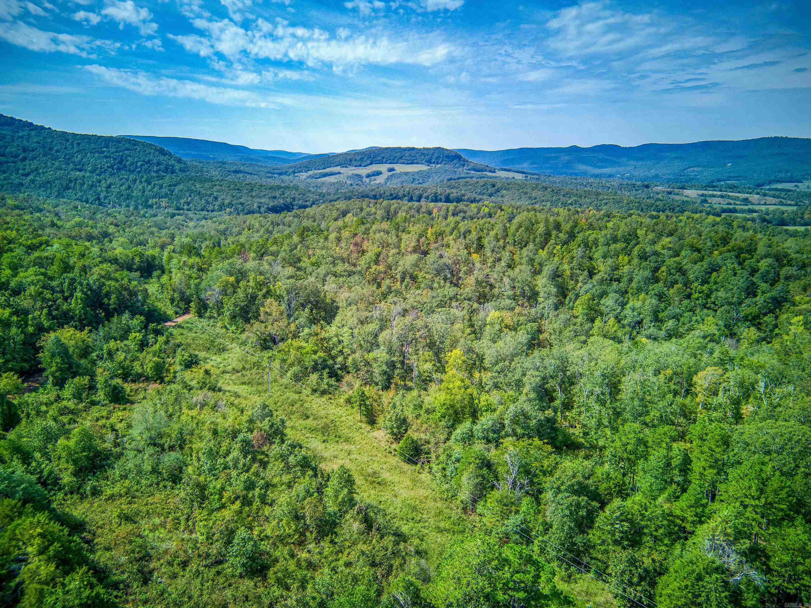Photo 11 - Vacant Land for sale – NC  4860   Bass, AR