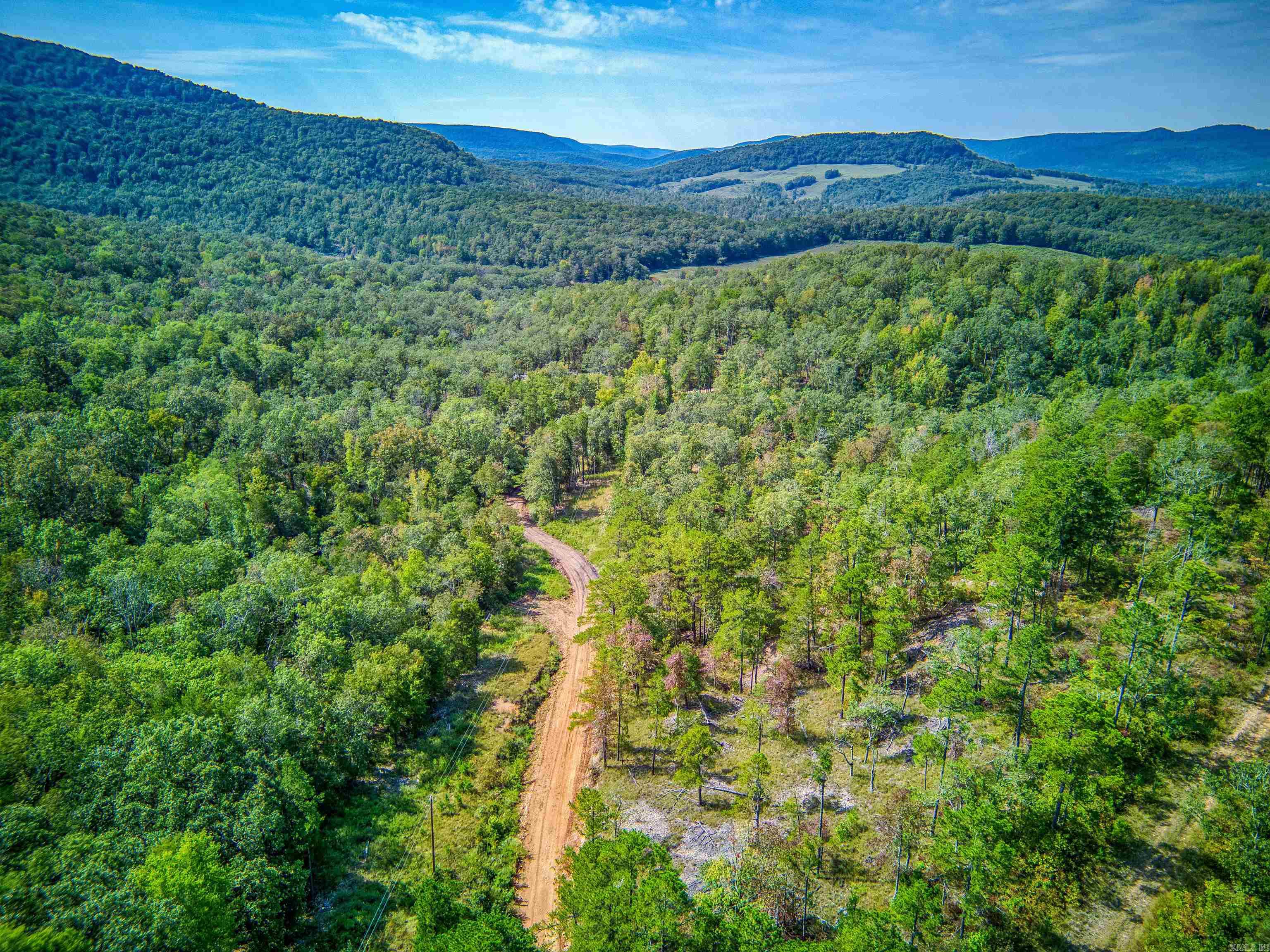 Photo 13 - Vacant Land for sale – NC  4860   Bass, AR