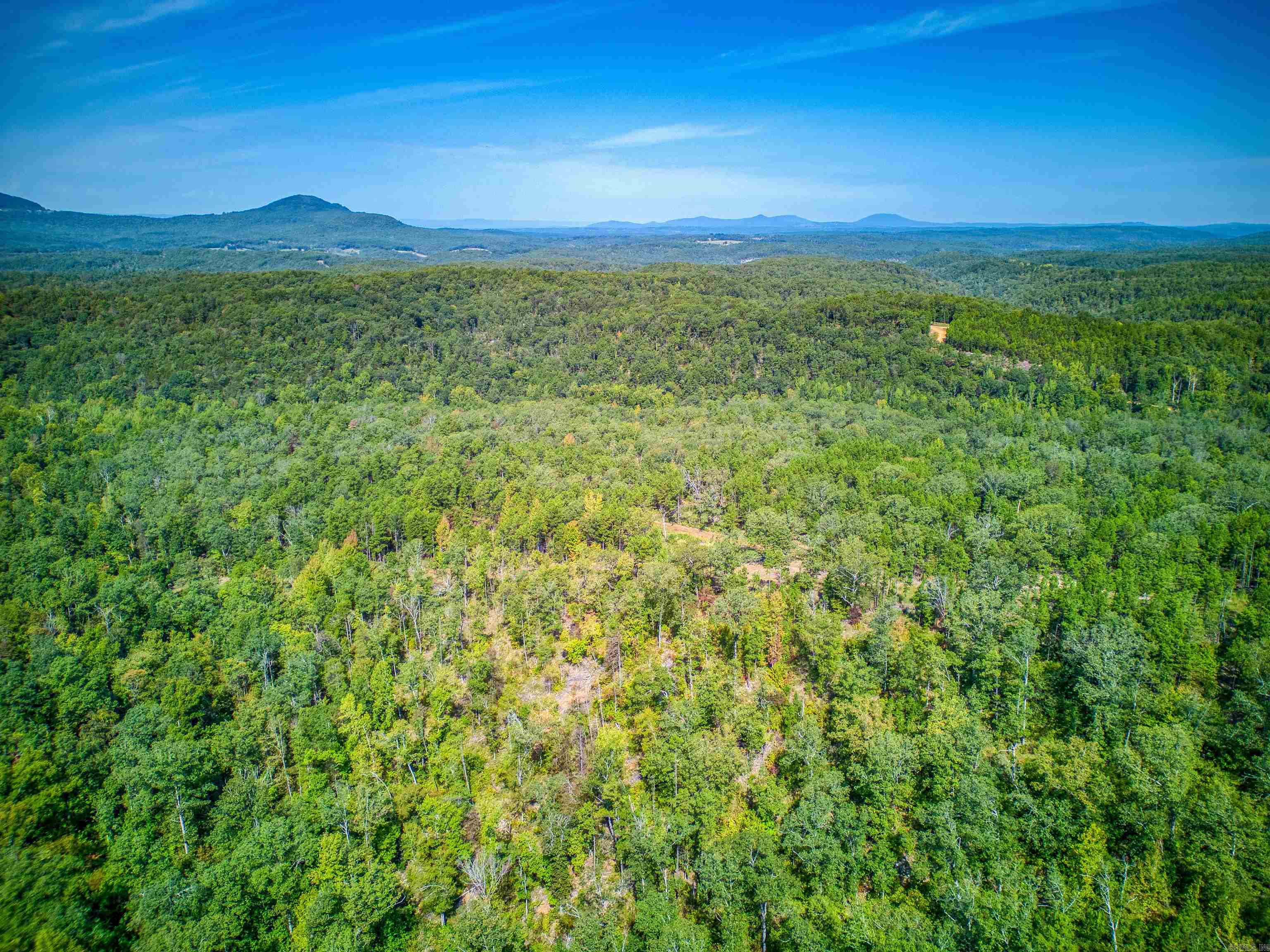 Photo 14 - Vacant Land for sale – NC  4860   Bass, AR