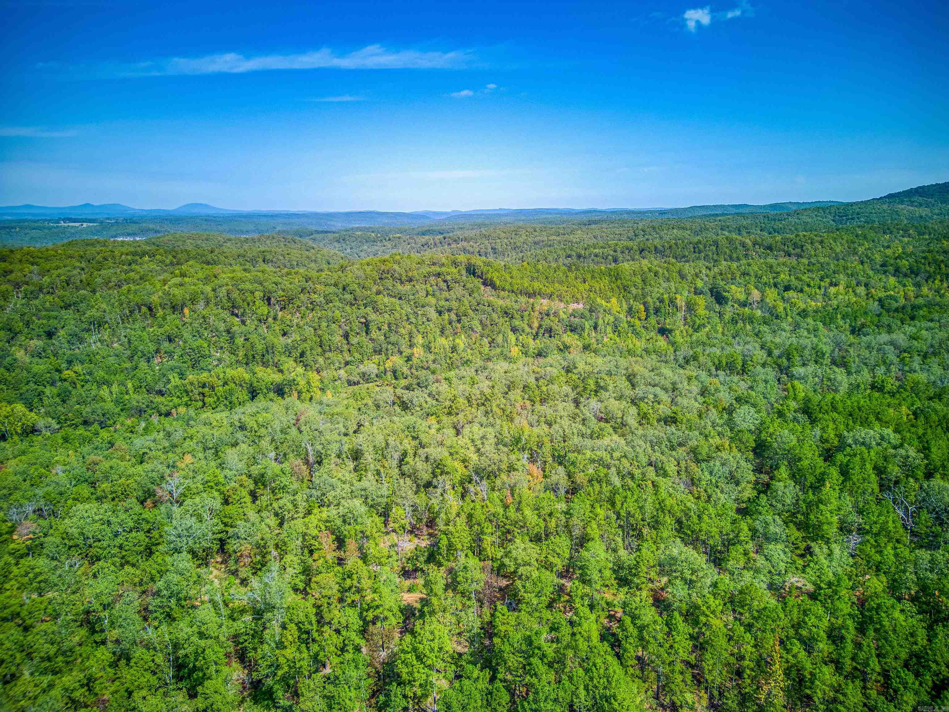 Photo 16 - Vacant Land for sale – NC  4860   Bass, AR