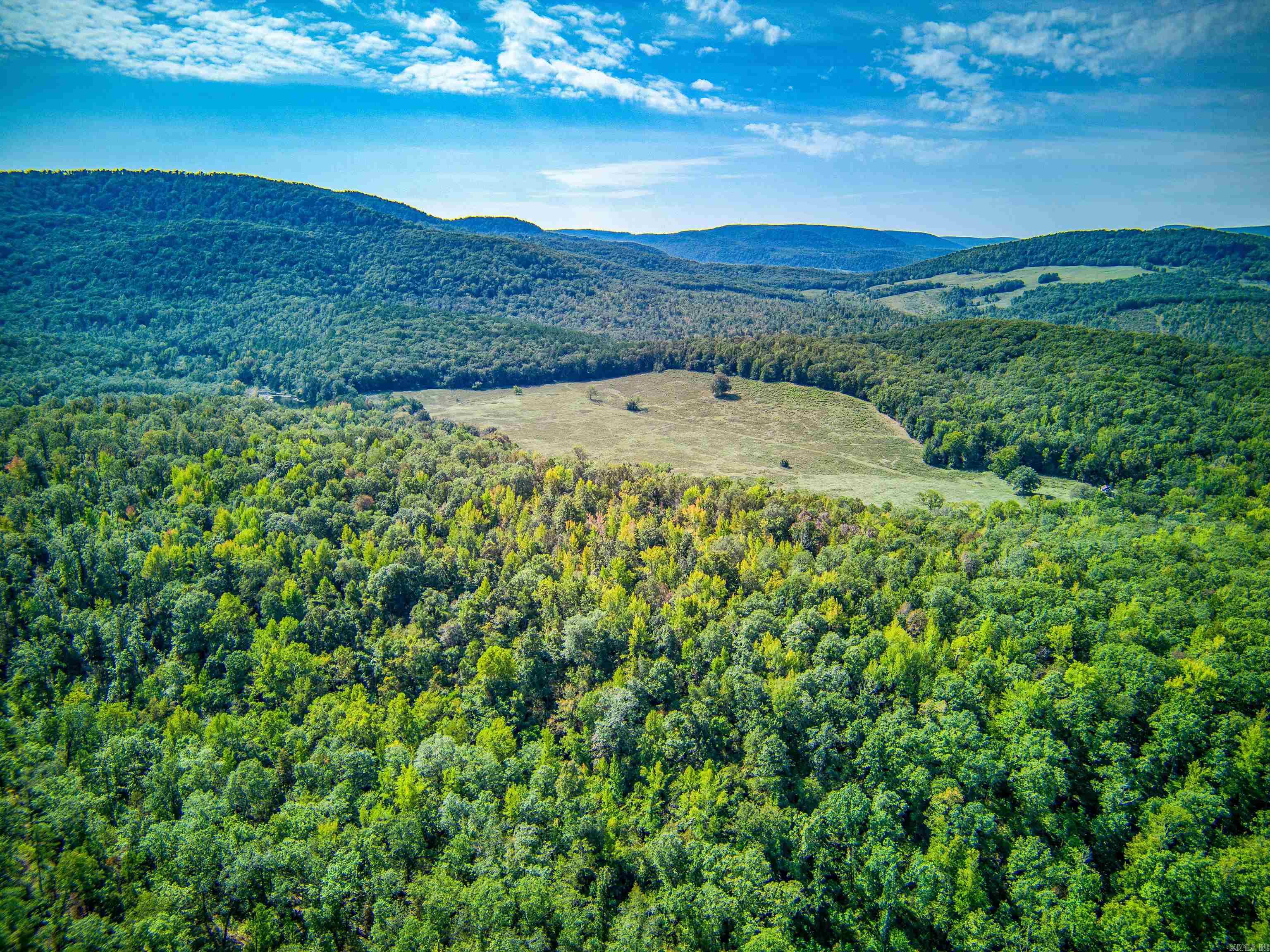 Photo 19 - Vacant Land for sale – NC  4860   Bass, AR