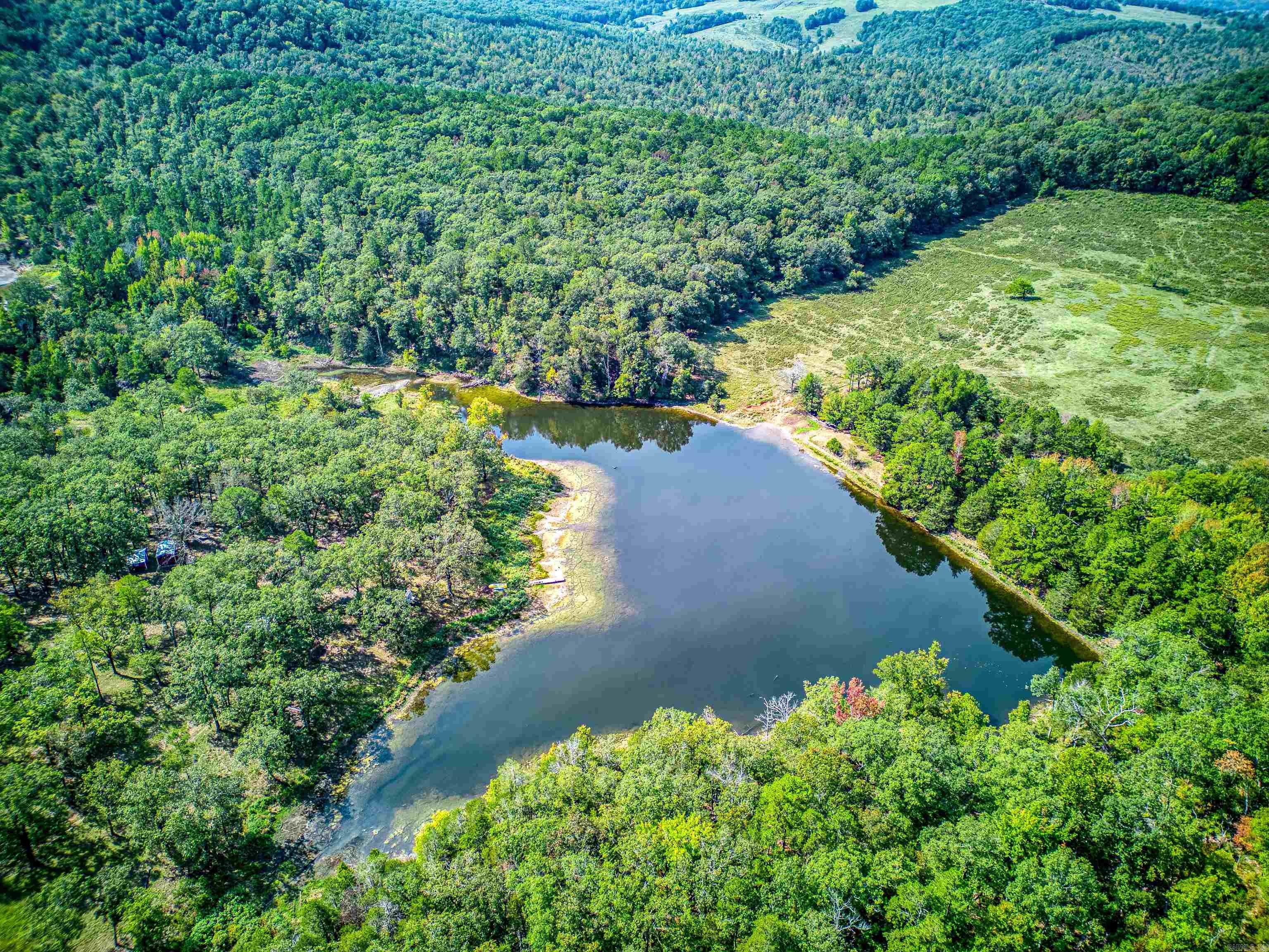 Photo 3 - Vacant Land for sale – NC  4860   Bass, AR