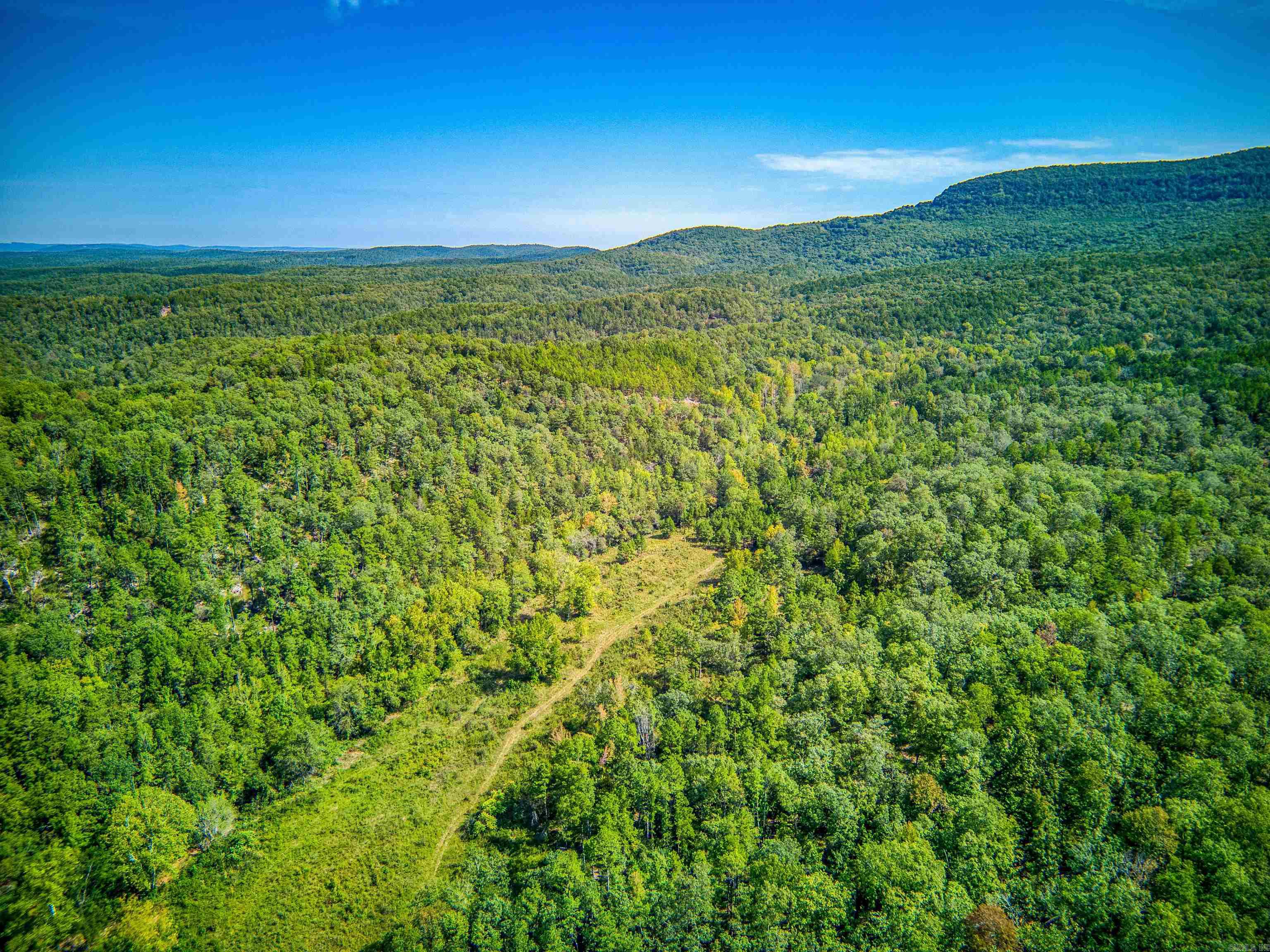 Photo 21 - Vacant Land for sale – NC  4860   Bass, AR