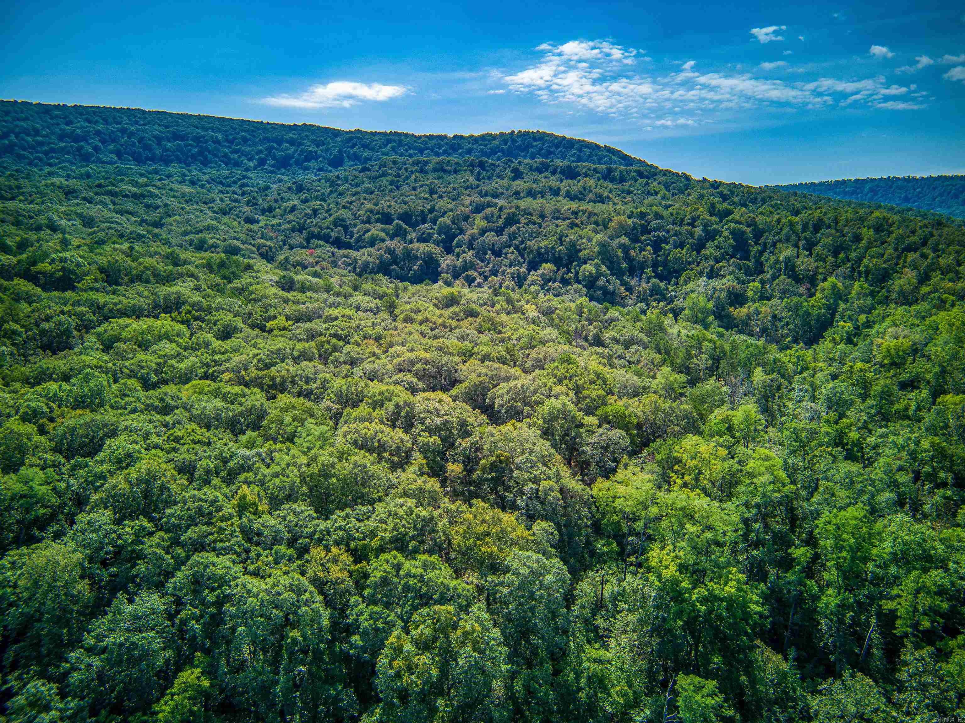 Photo 26 - Vacant Land for sale – NC  4860   Bass, AR