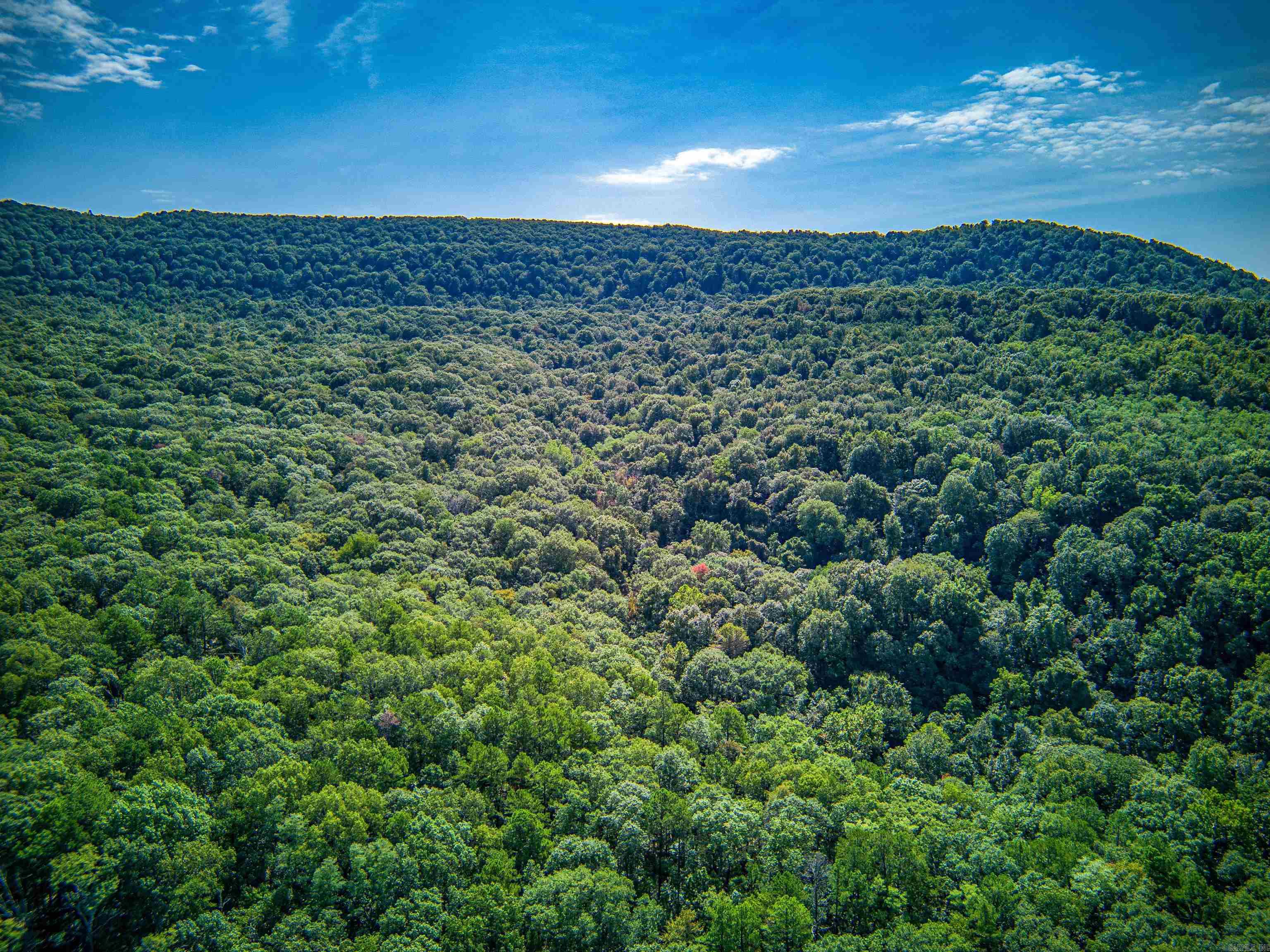 Photo 28 - Vacant Land for sale – NC  4860   Bass, AR