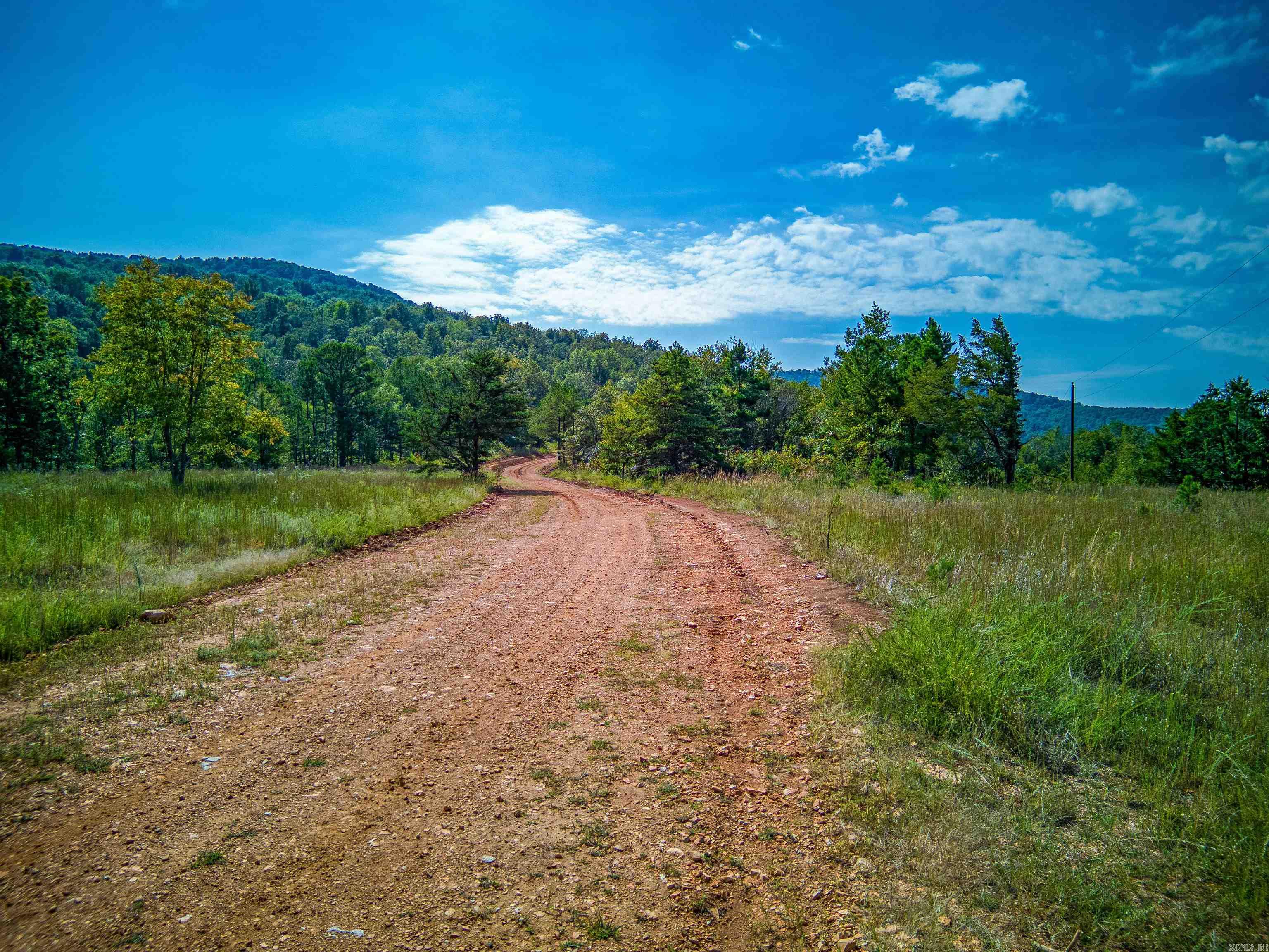 Photo 4 - Vacant Land for sale – NC  4860   Bass, AR