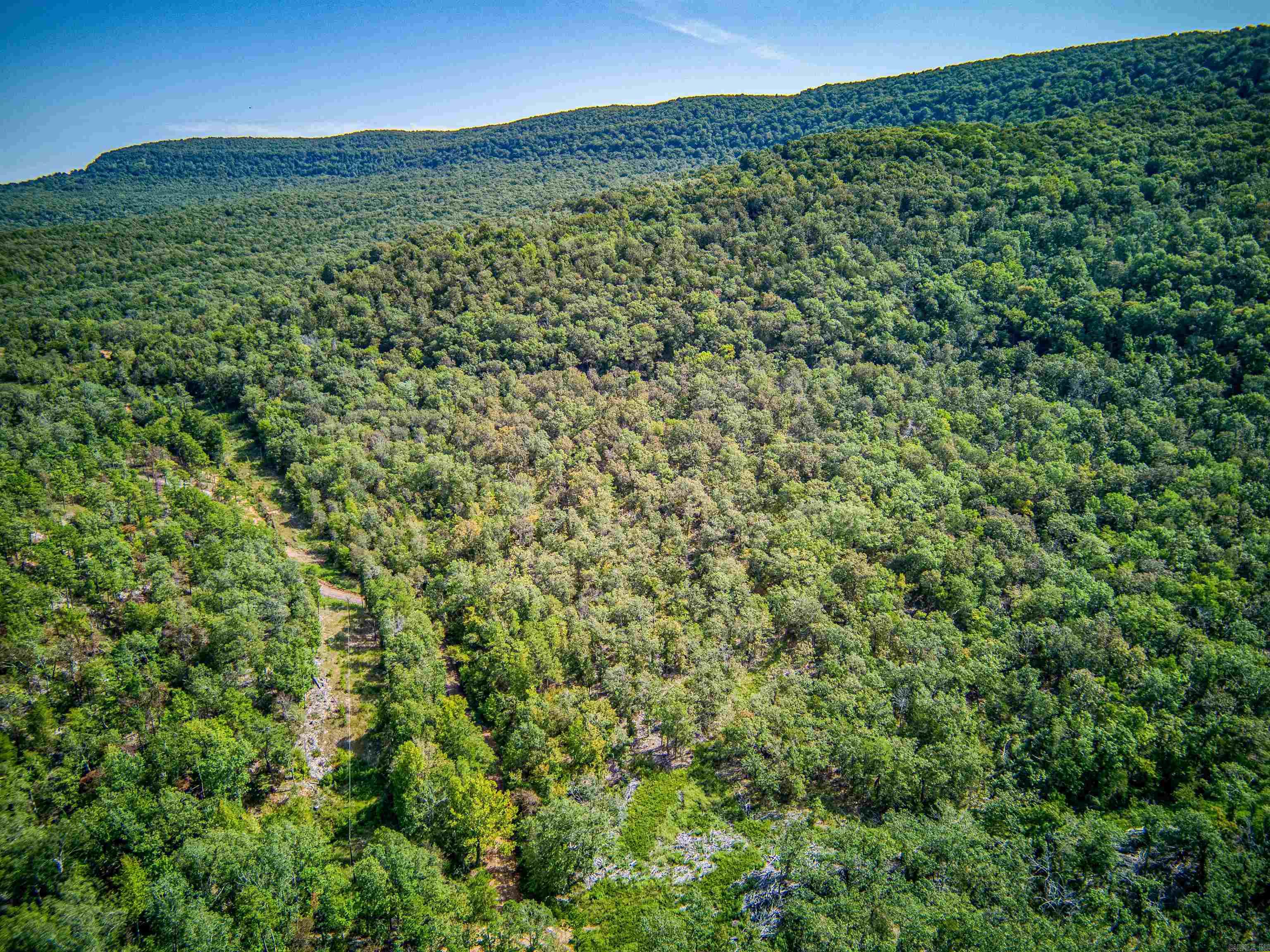 Photo 38 - Vacant Land for sale – NC  4860   Bass, AR