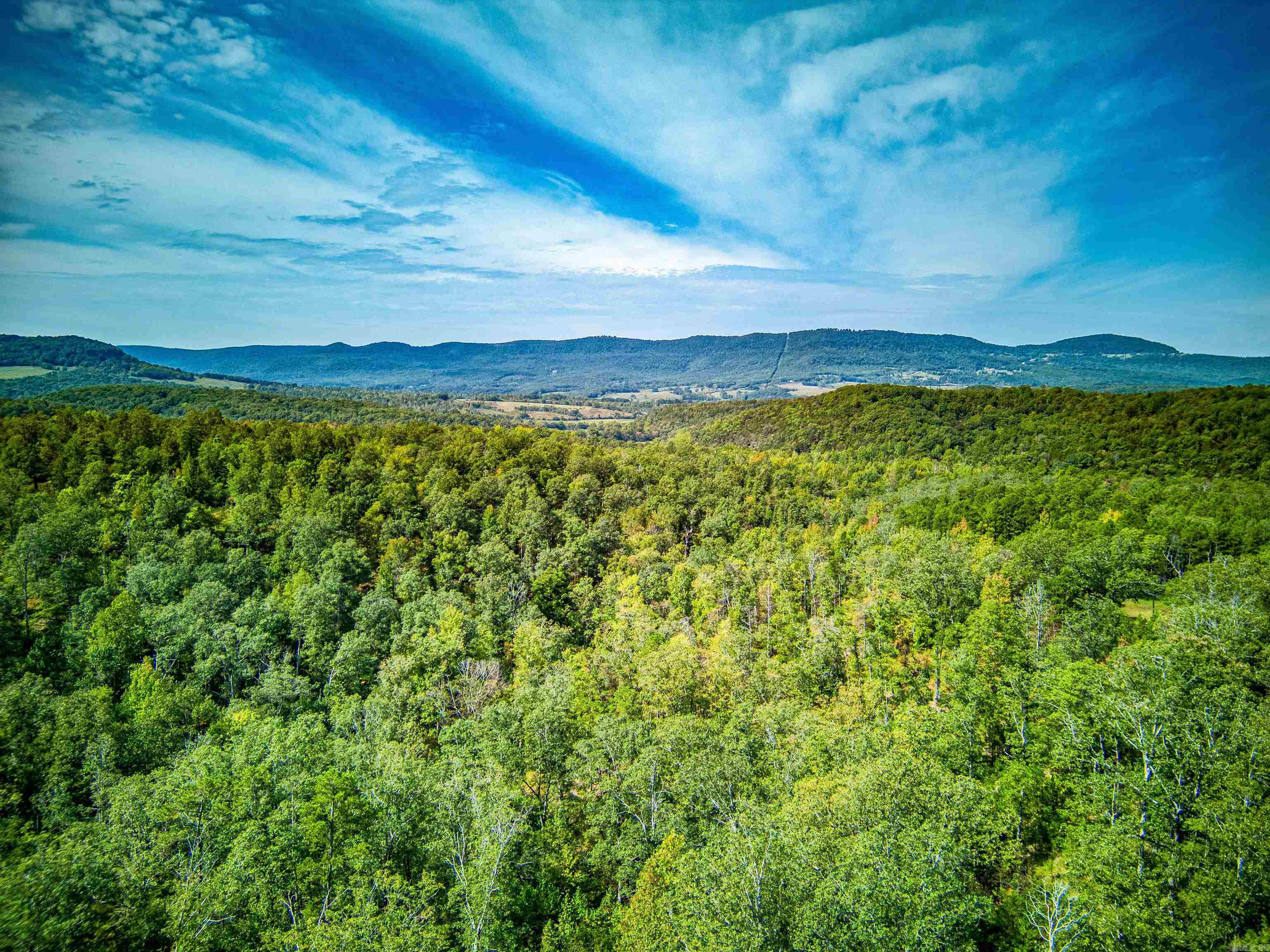 Photo 43 - Vacant Land for sale – NC  4860   Bass, AR