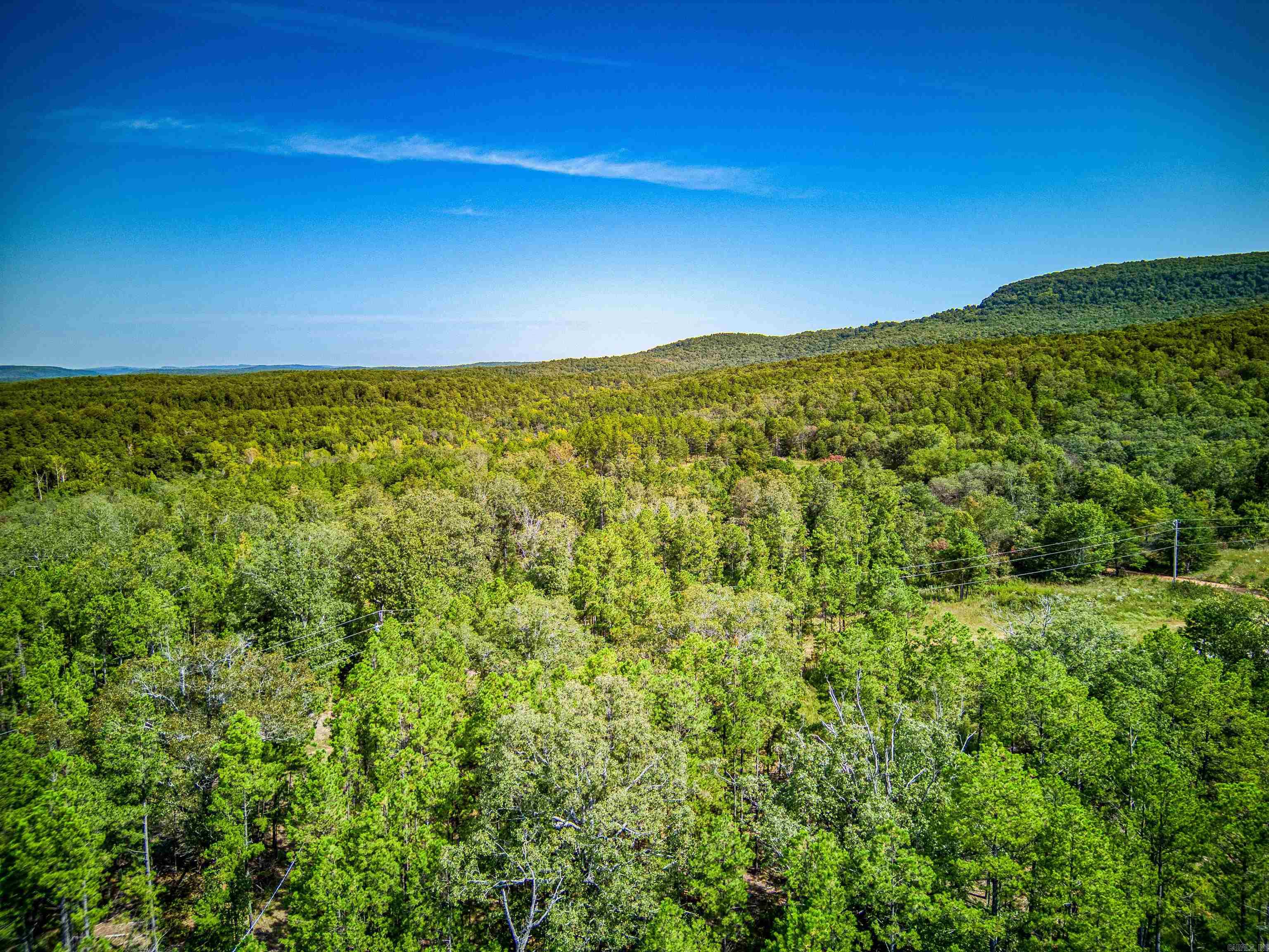 Photo 44 - Vacant Land for sale – NC  4860   Bass, AR