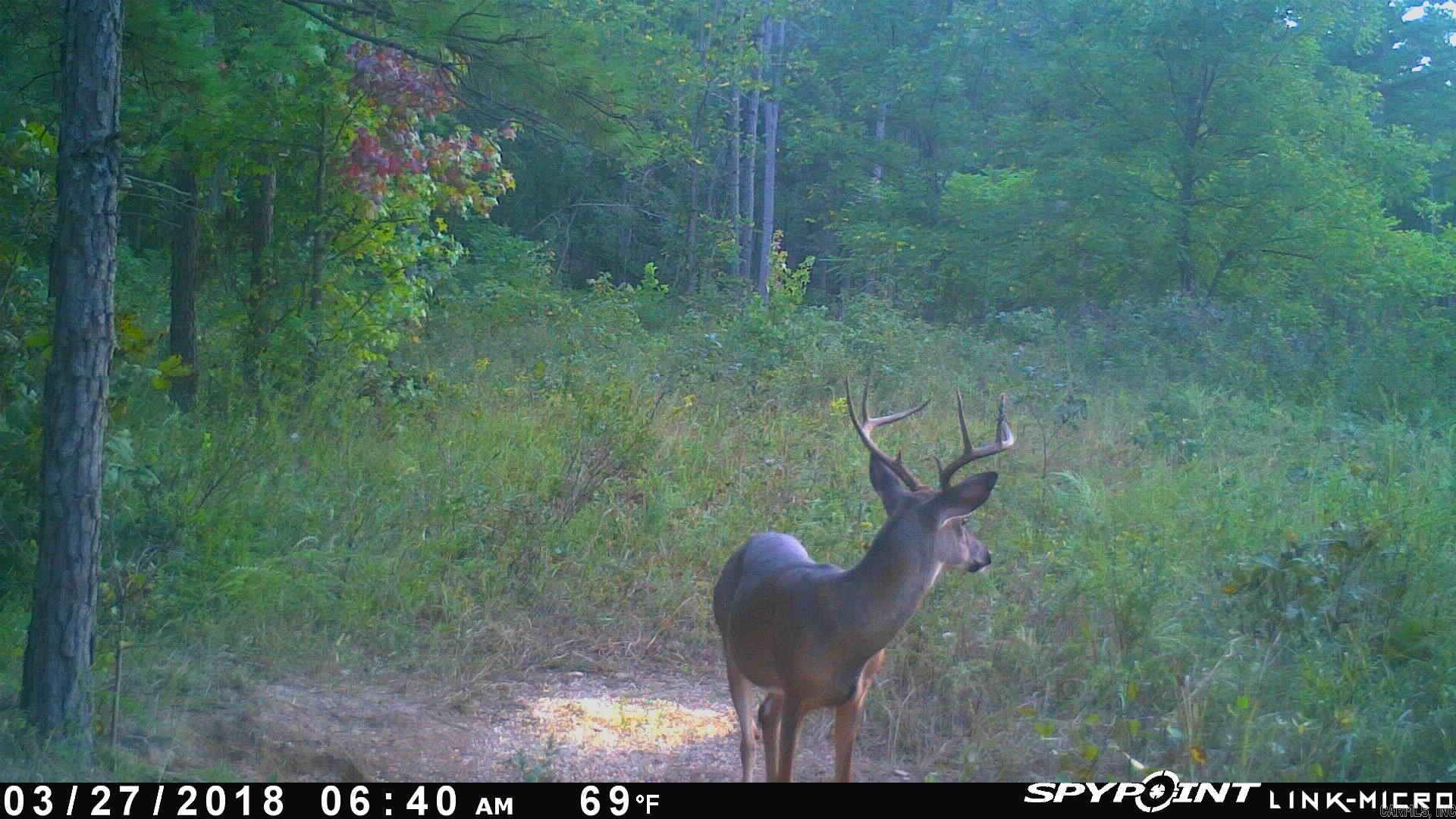 Photo 50 - Vacant Land for sale – NC  4860   Bass, AR
