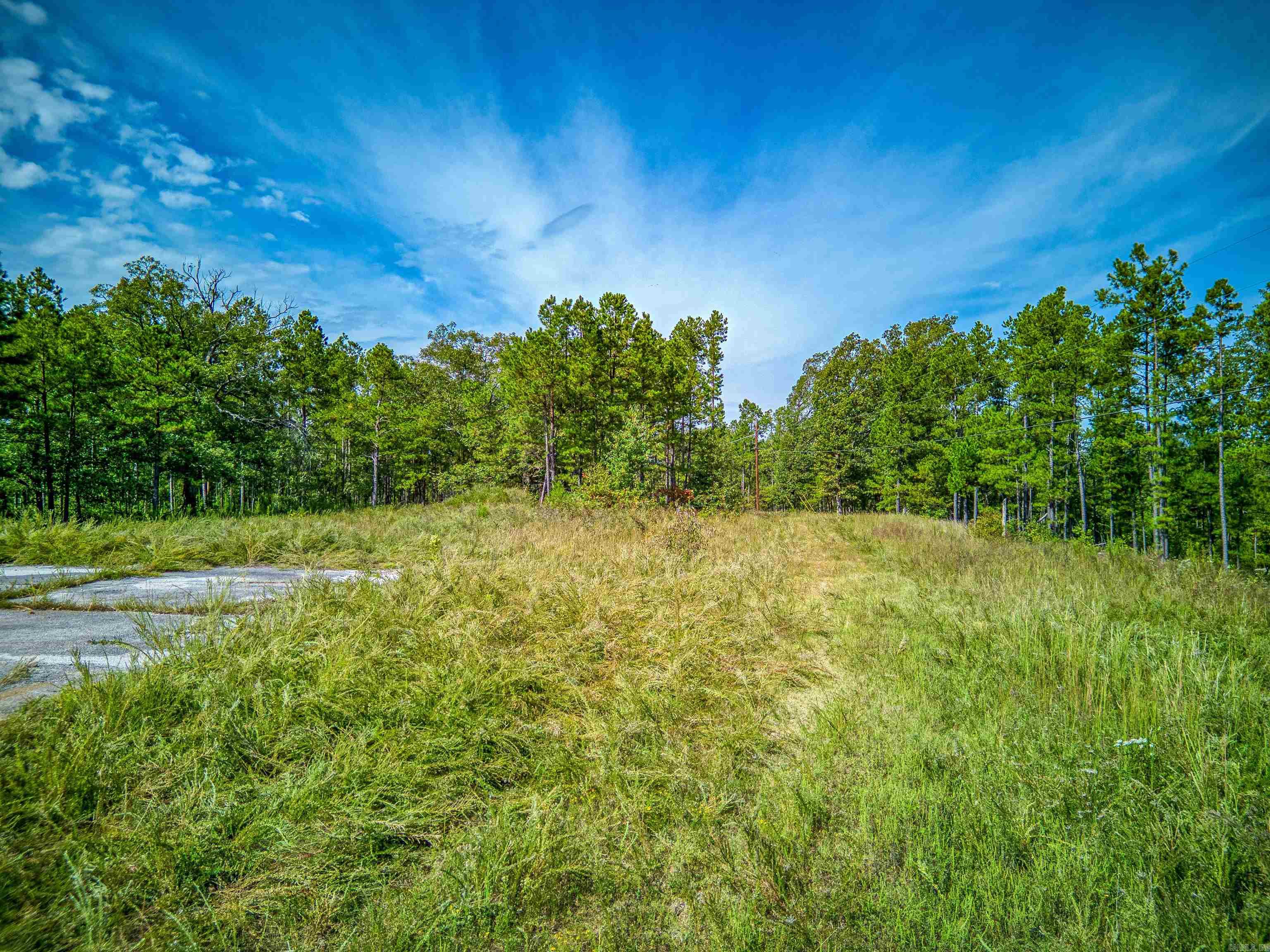 Photo 8 - Vacant Land for sale – NC  4860   Bass, AR
