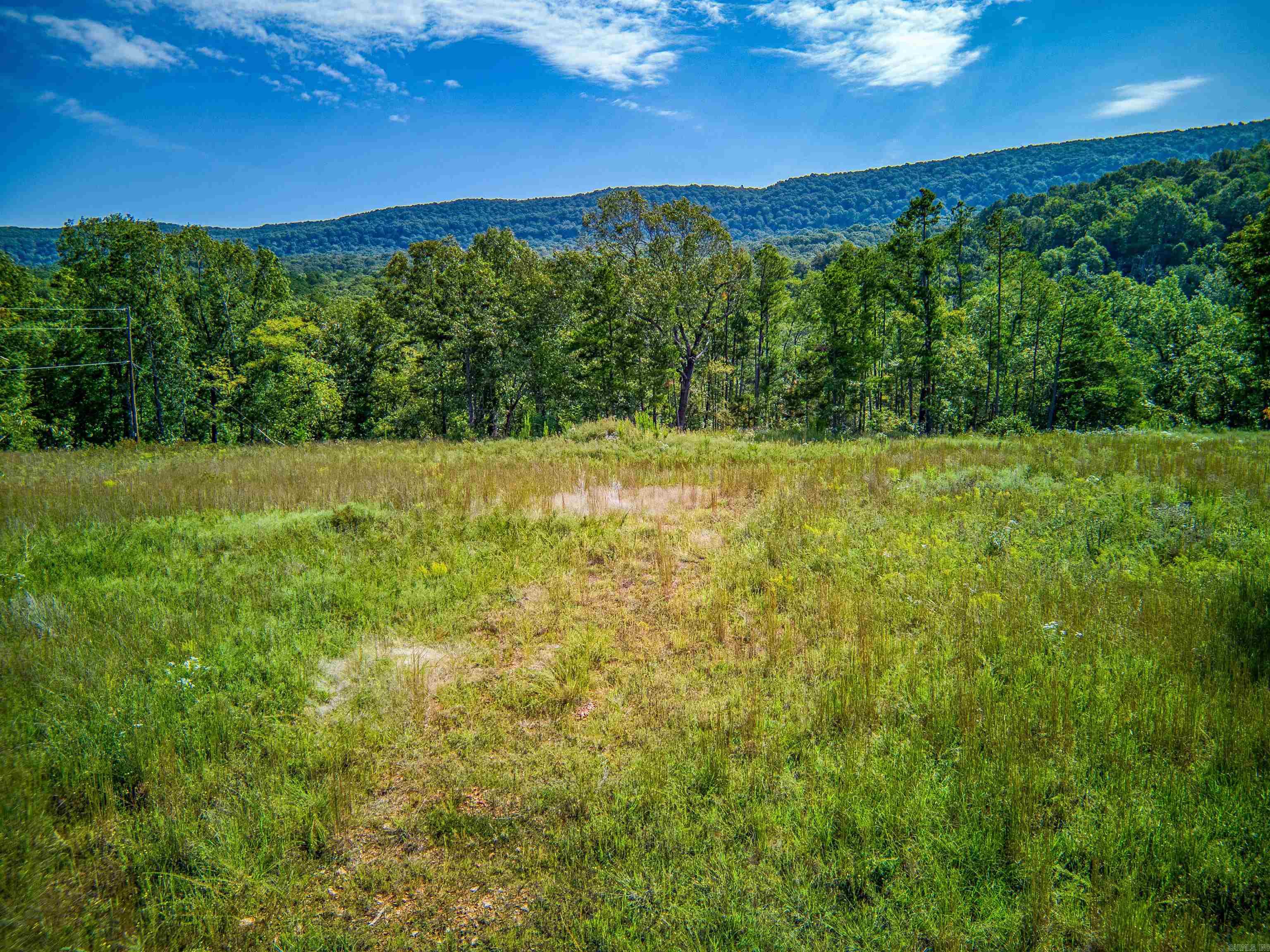 Photo 9 - Vacant Land for sale – NC  4860   Bass, AR