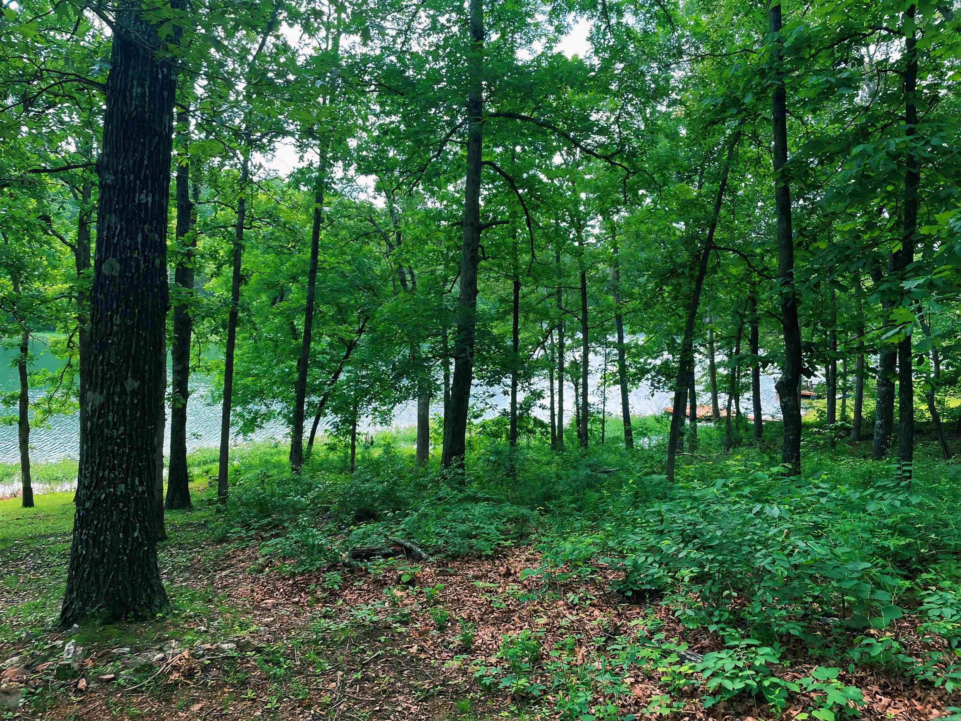 Photo 12 - Vacant Land for sale – Lot 31  Enid   Cherokee Village, AR
